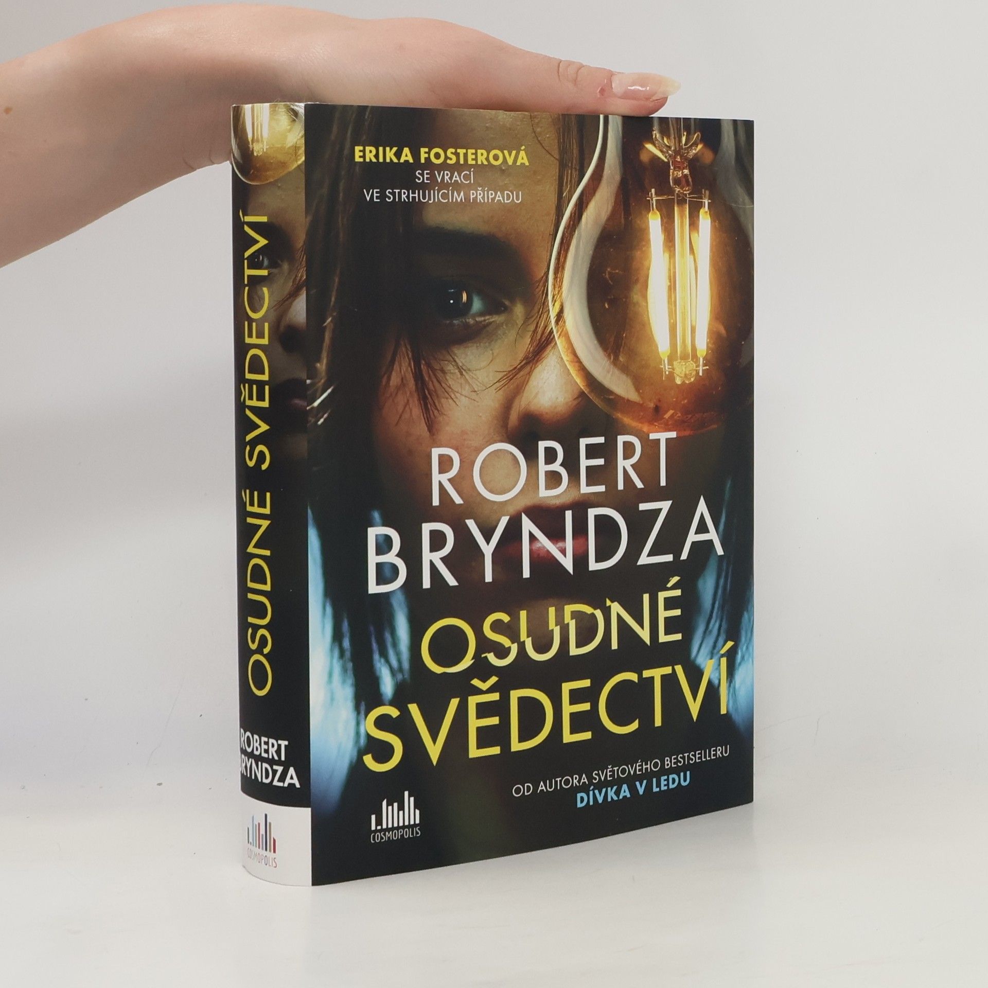 Robert Bryndza Osudné svědectví