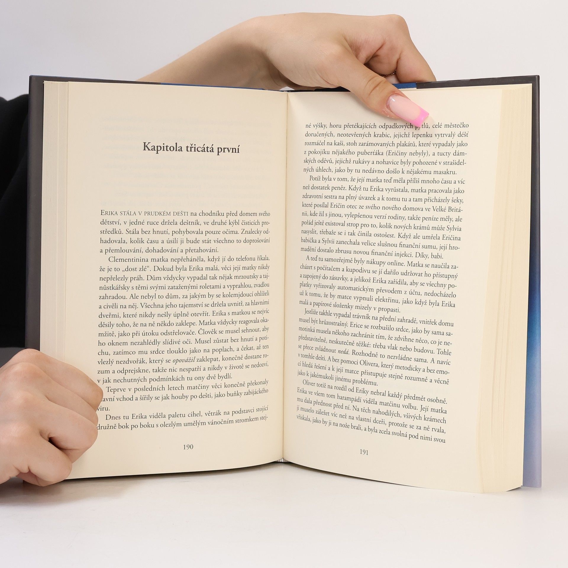 Liane Moriarty Šílené výčitky