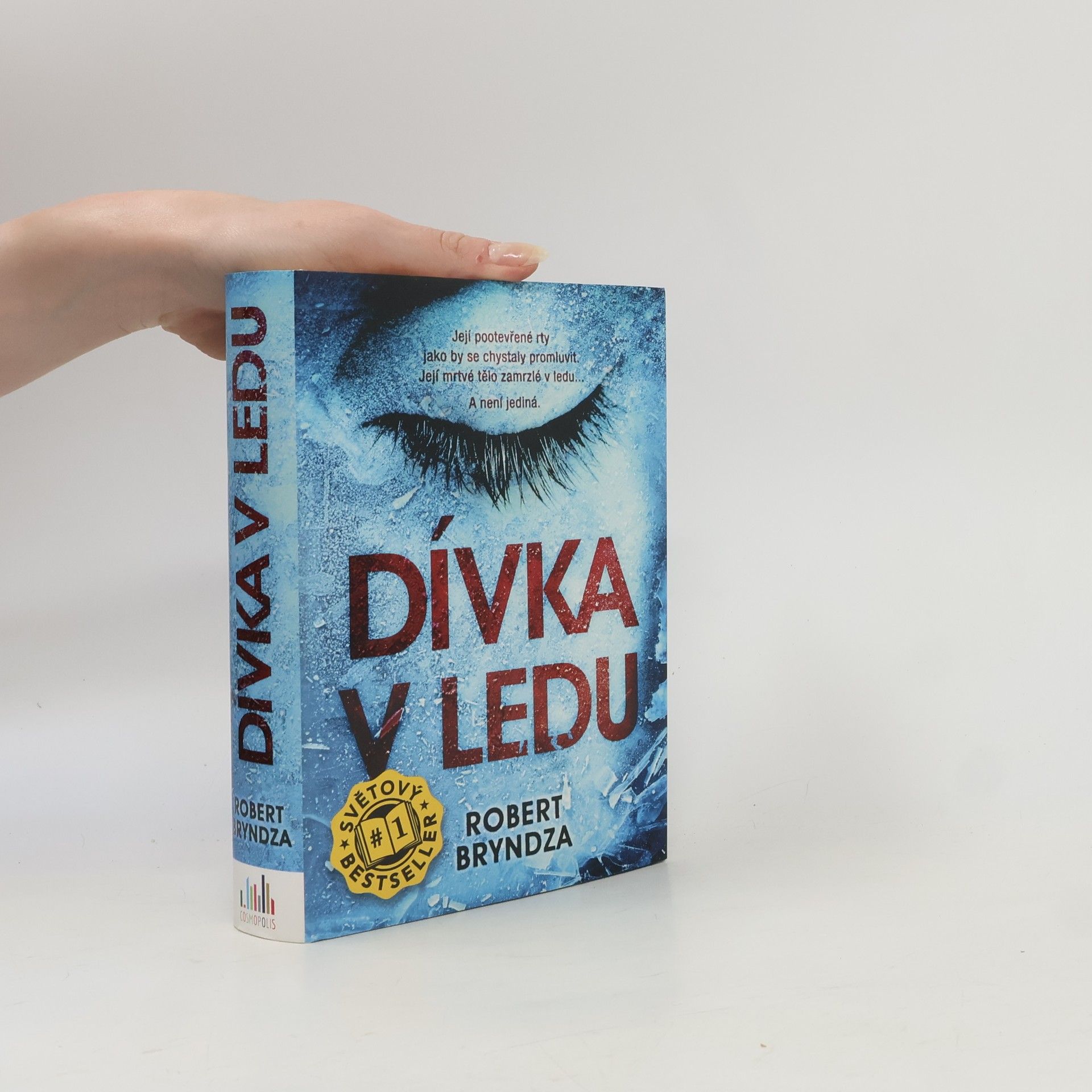Robert Bryndza Dívka v ledu