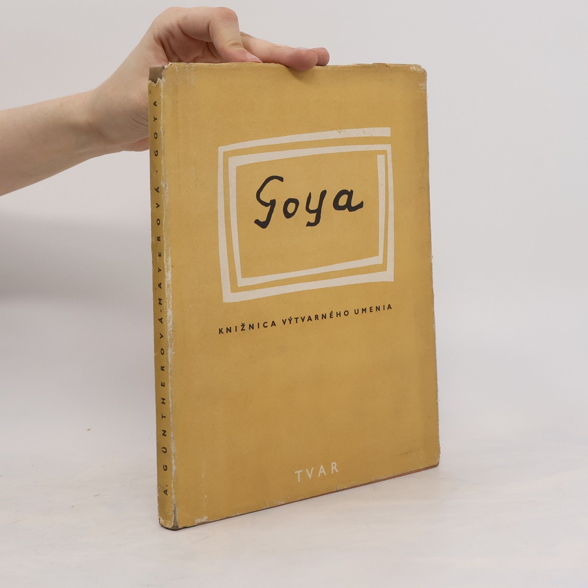 Alžbeta GüntherováMayerová Goya