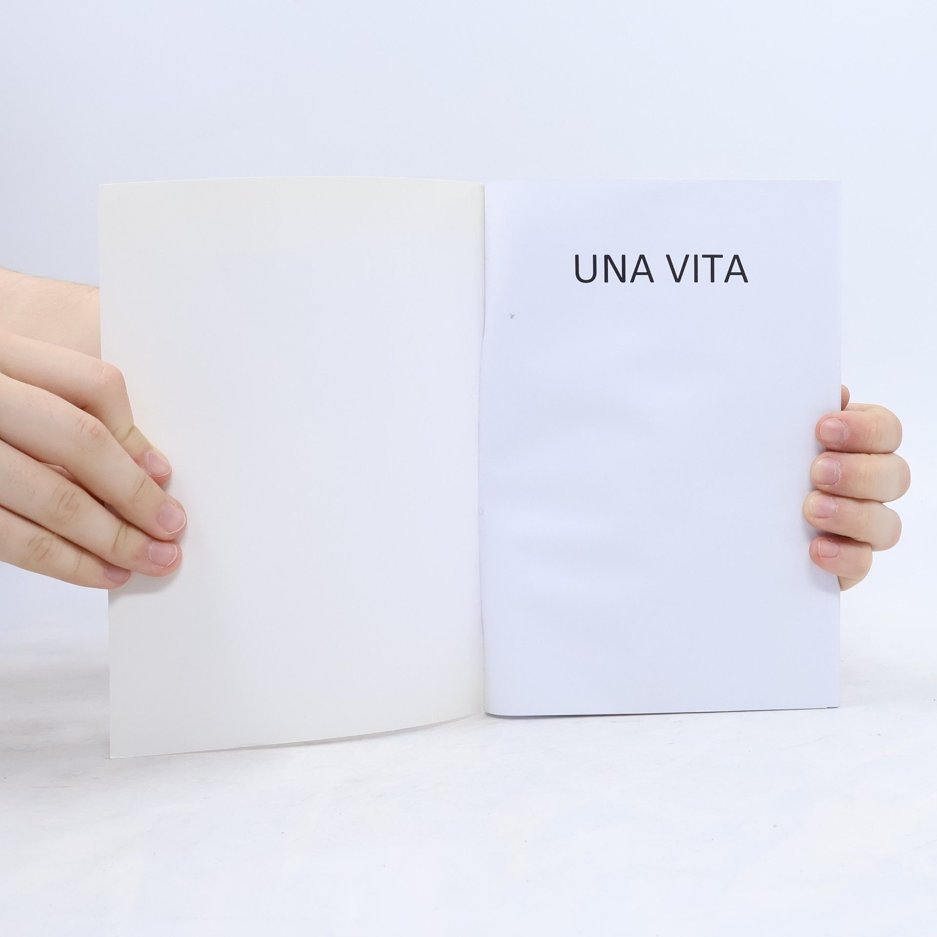 Aldo Coppola Una vita