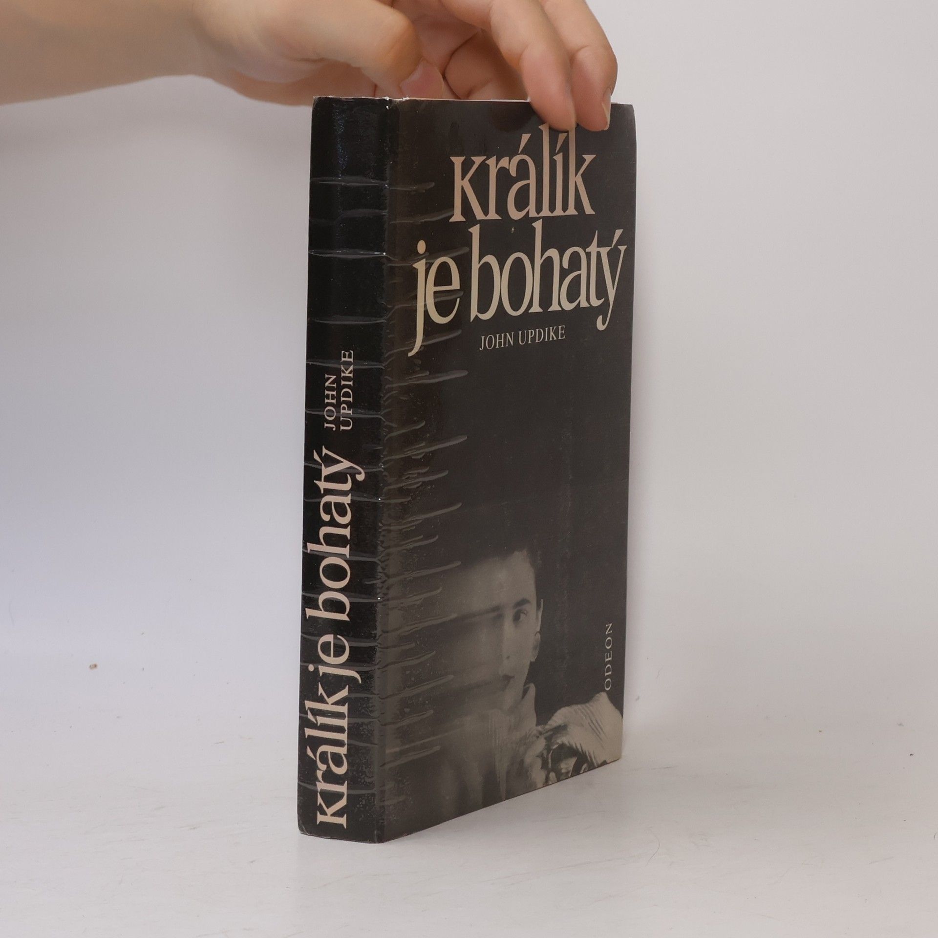 John Updike Králík je bohatý