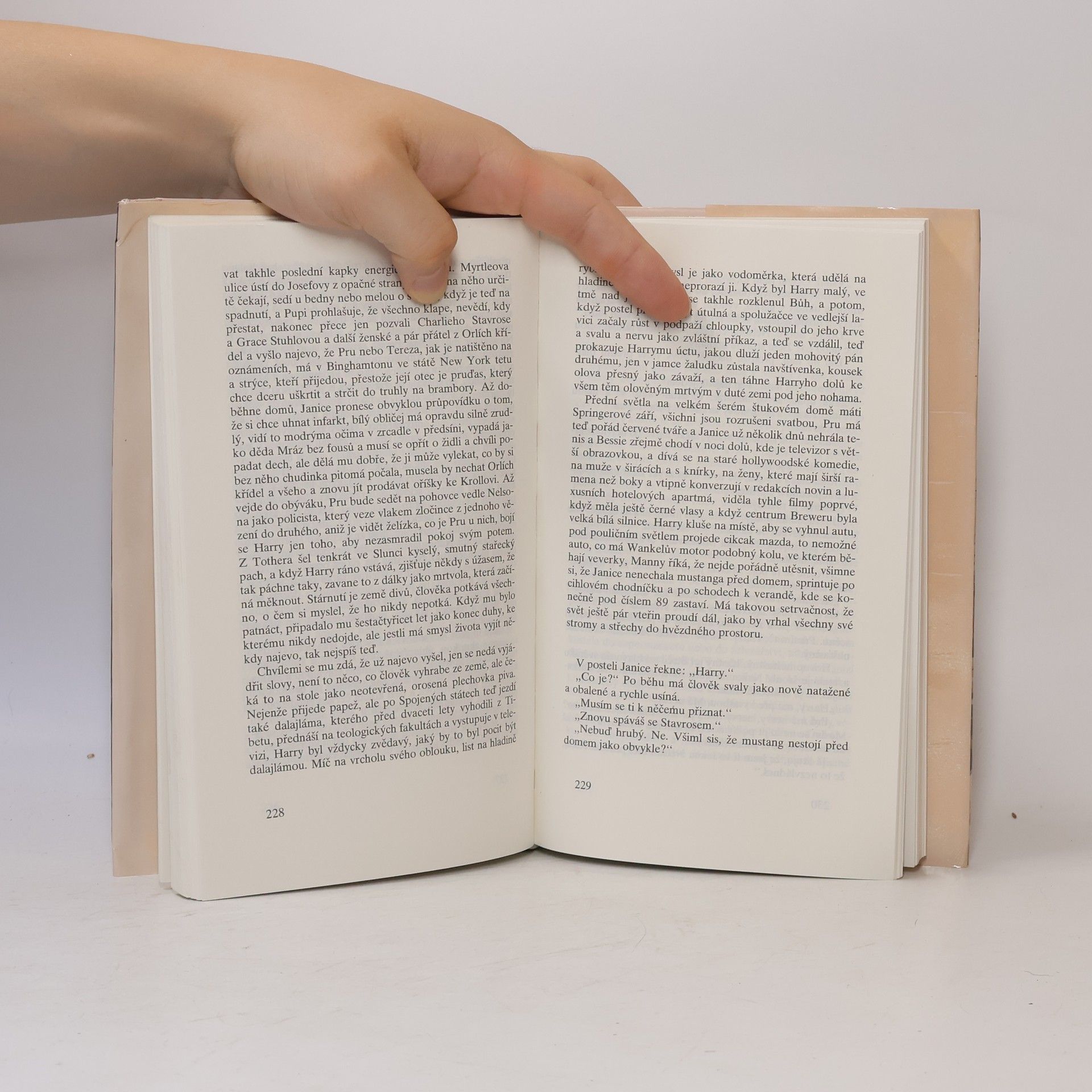 John Updike Králík je bohatý