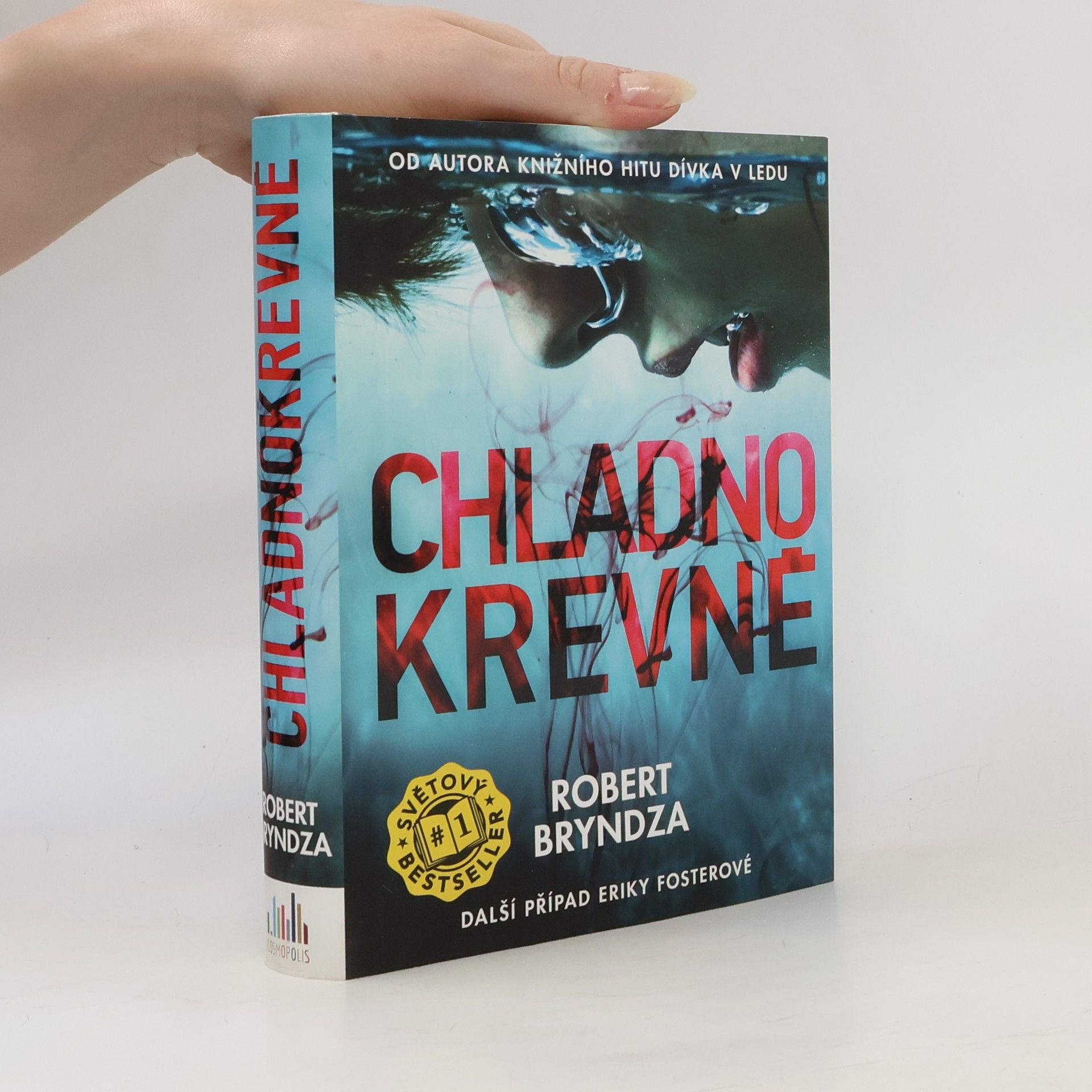 Robert Bryndza Chladnokrevně