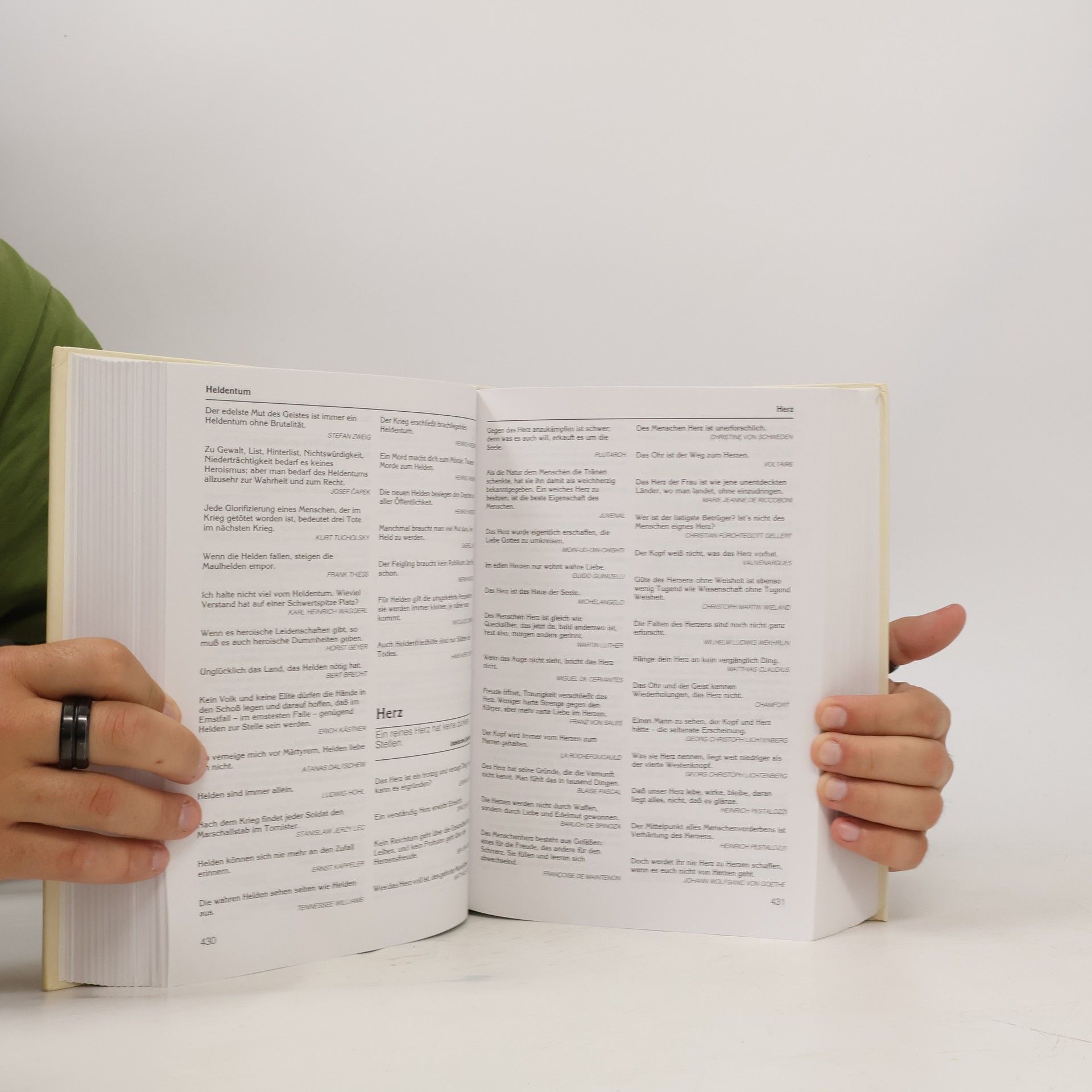 Hans Horst Skupy Das grosse Handbuch der Zitate