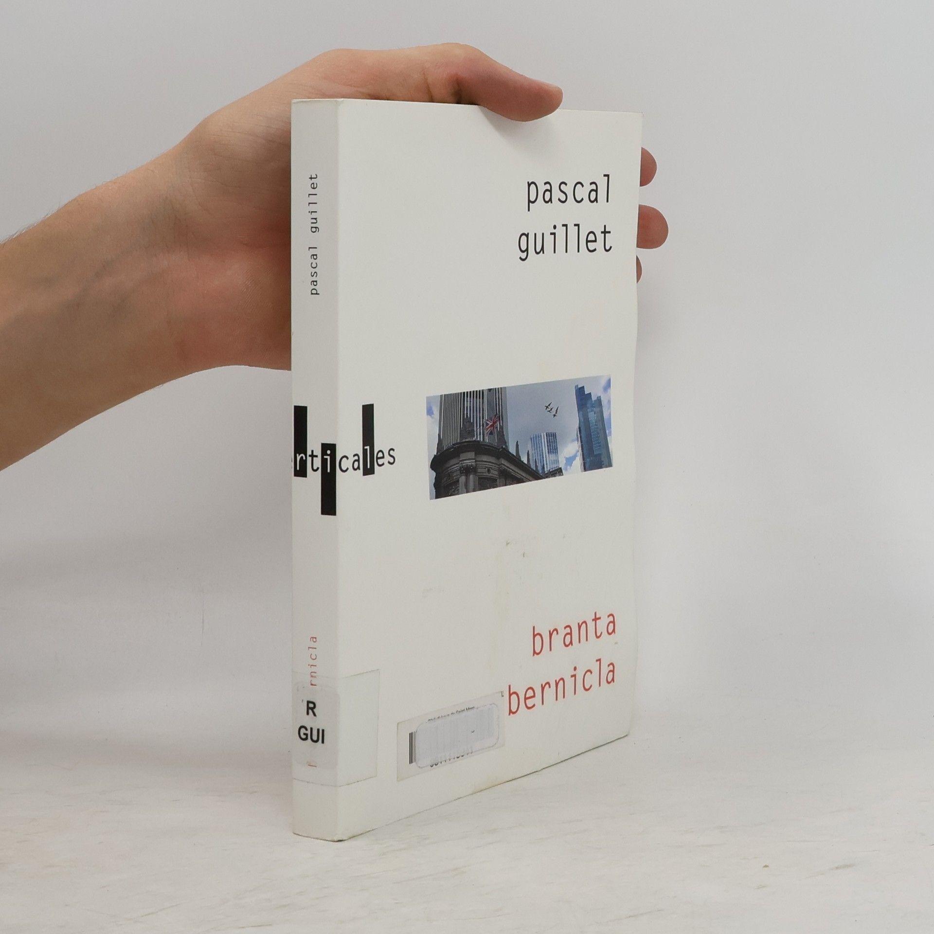 Pascal Guillet Branta Bernicla