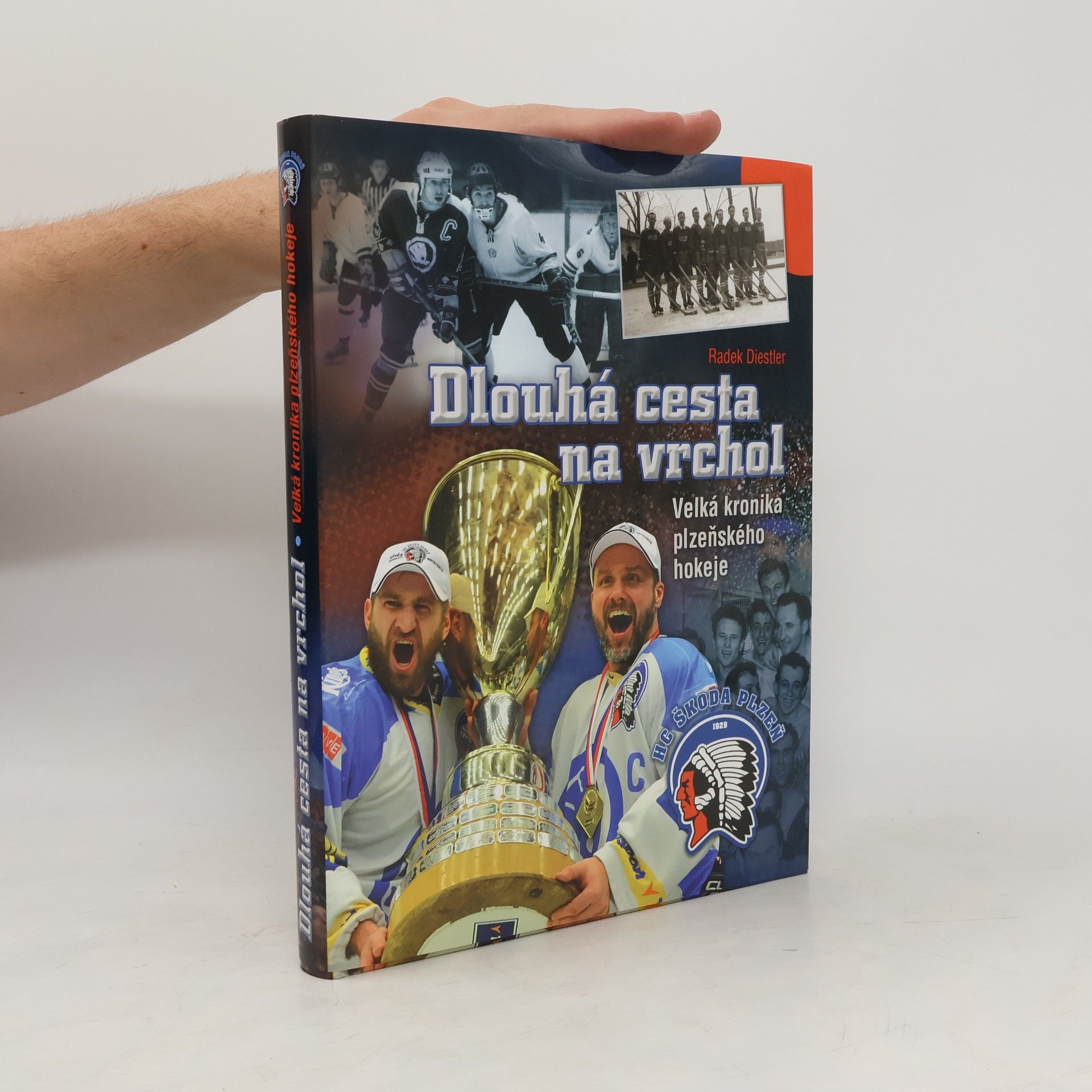 Radek Diestler Dlouhá cesta na vrchol