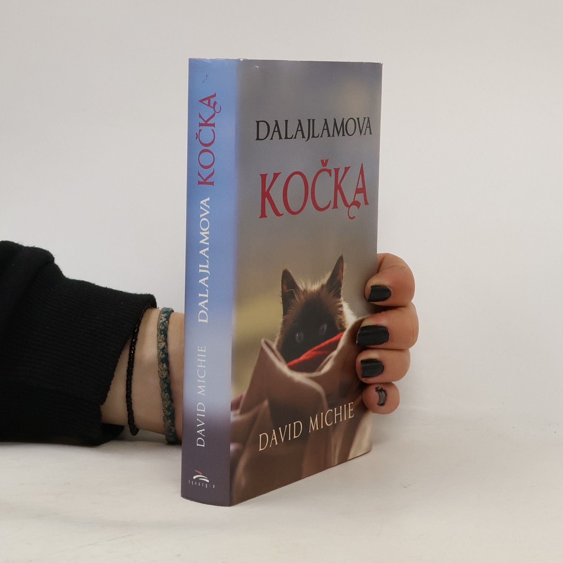 David Michie Dalajlamova kočka