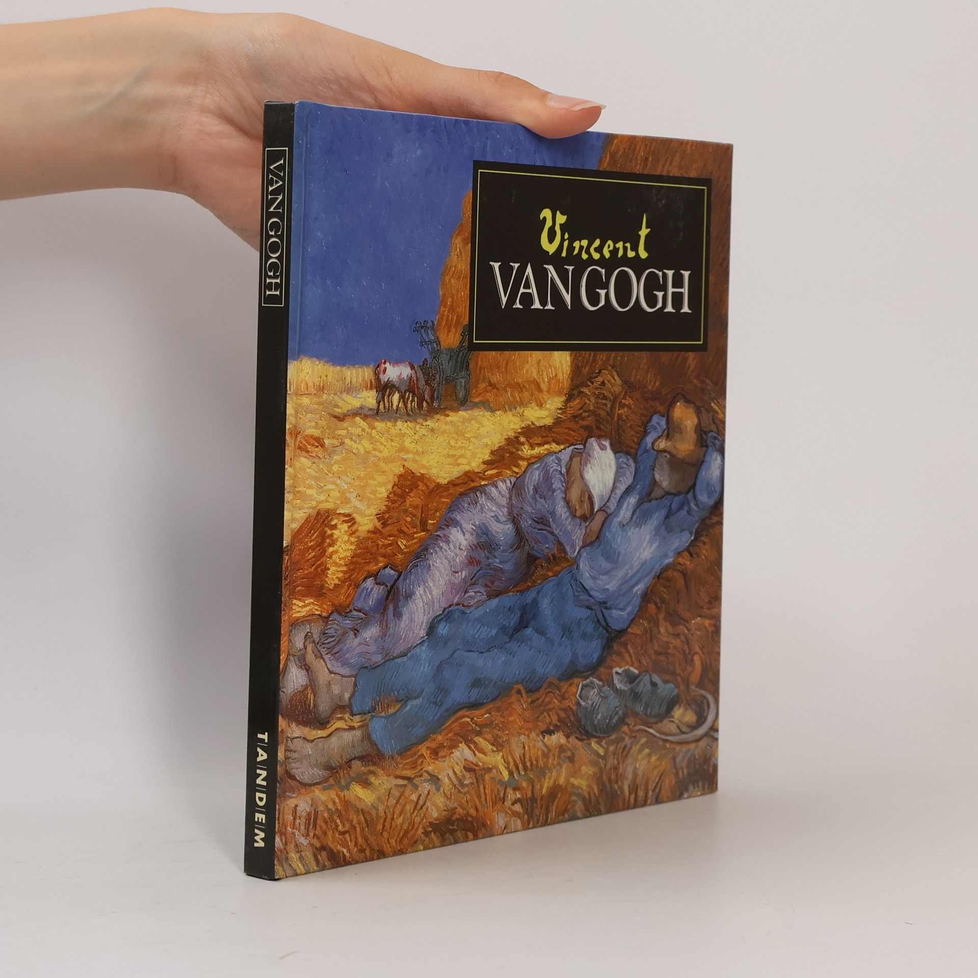 Vincent van Gogh Van Gogh