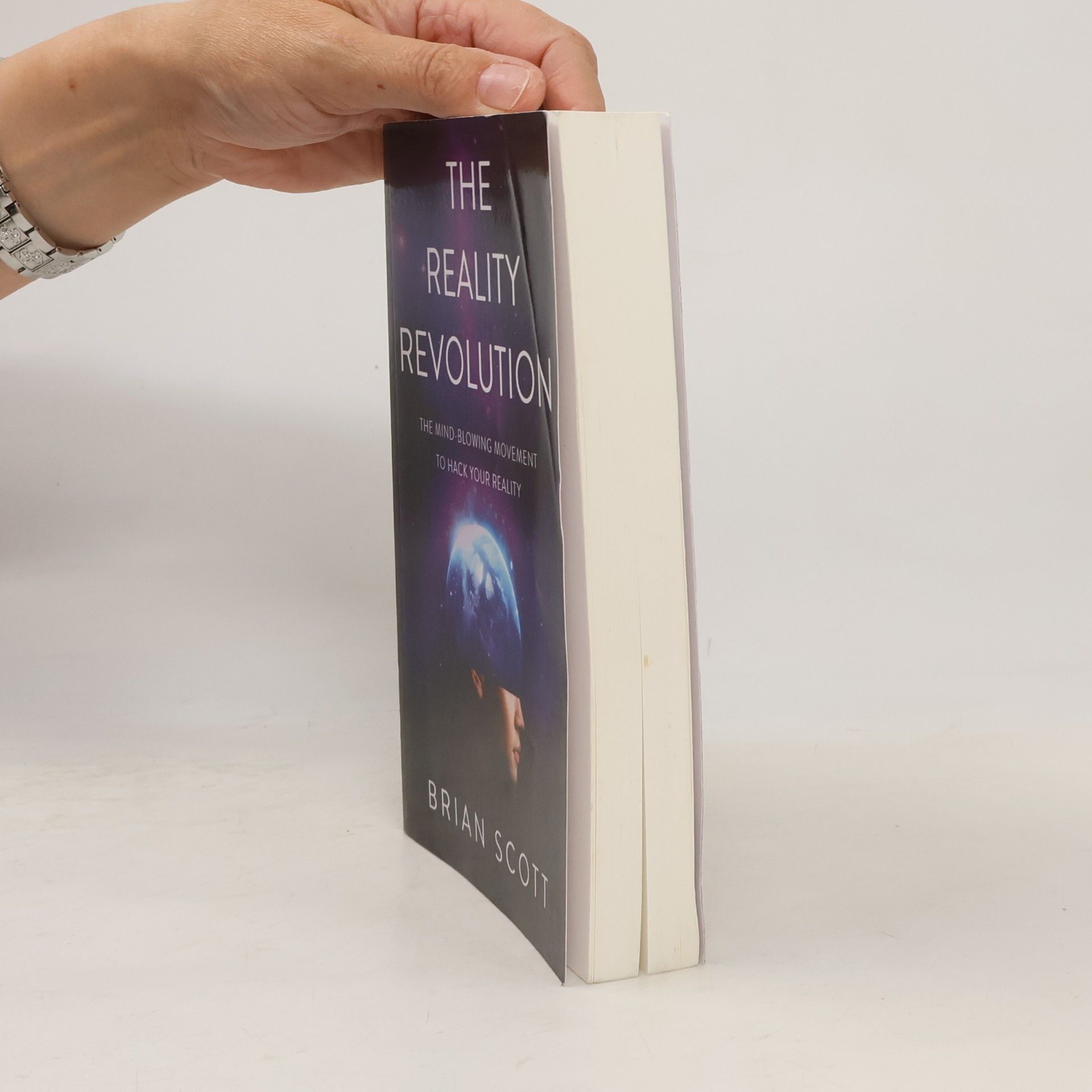 Brian Scott Mednick The Reality Revolution