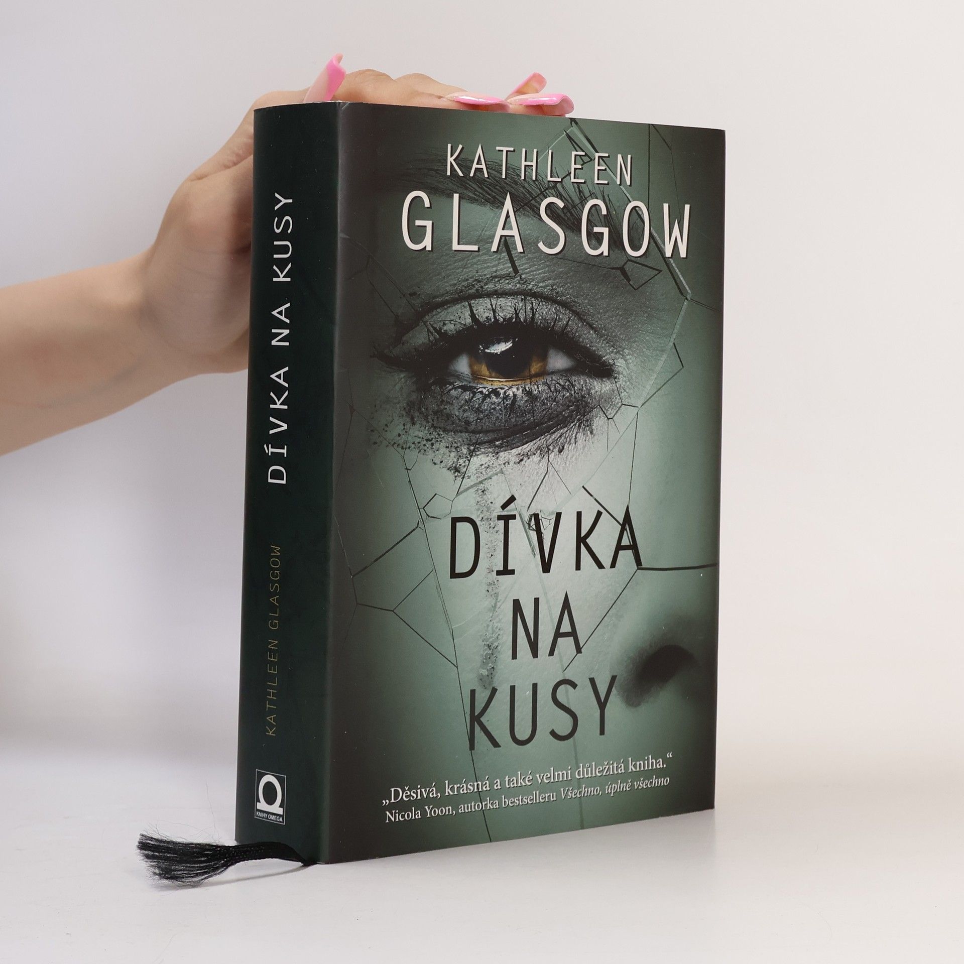 Kathleen Glasgow Dívka na kusy