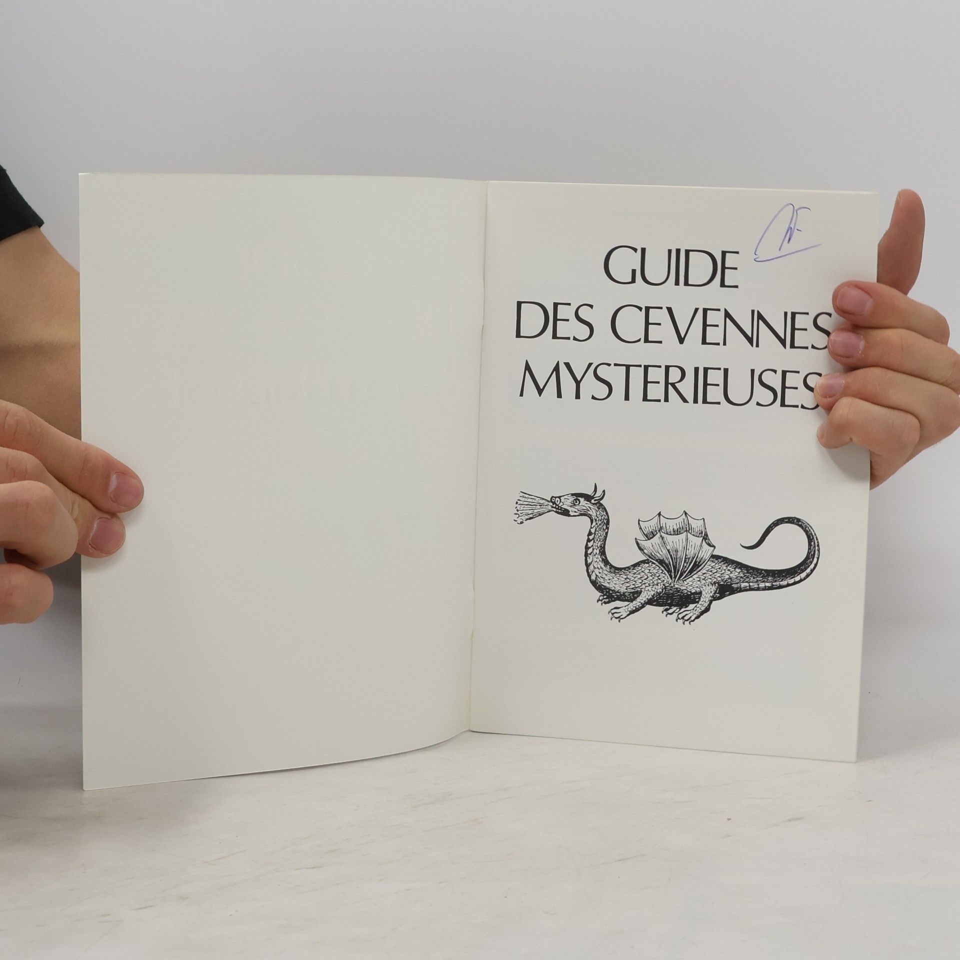 AA.VV. Guide des Cévennes mysterieuses
