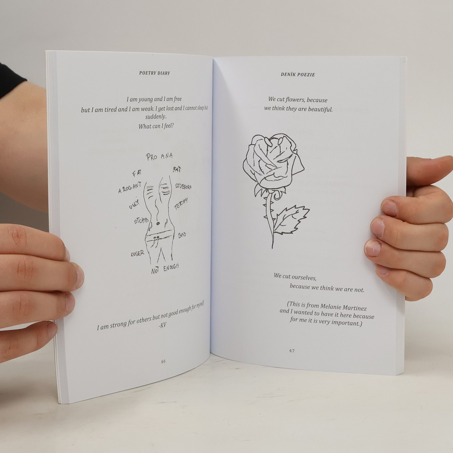 Kristýna Volfová Poetry diary - Deník poezie