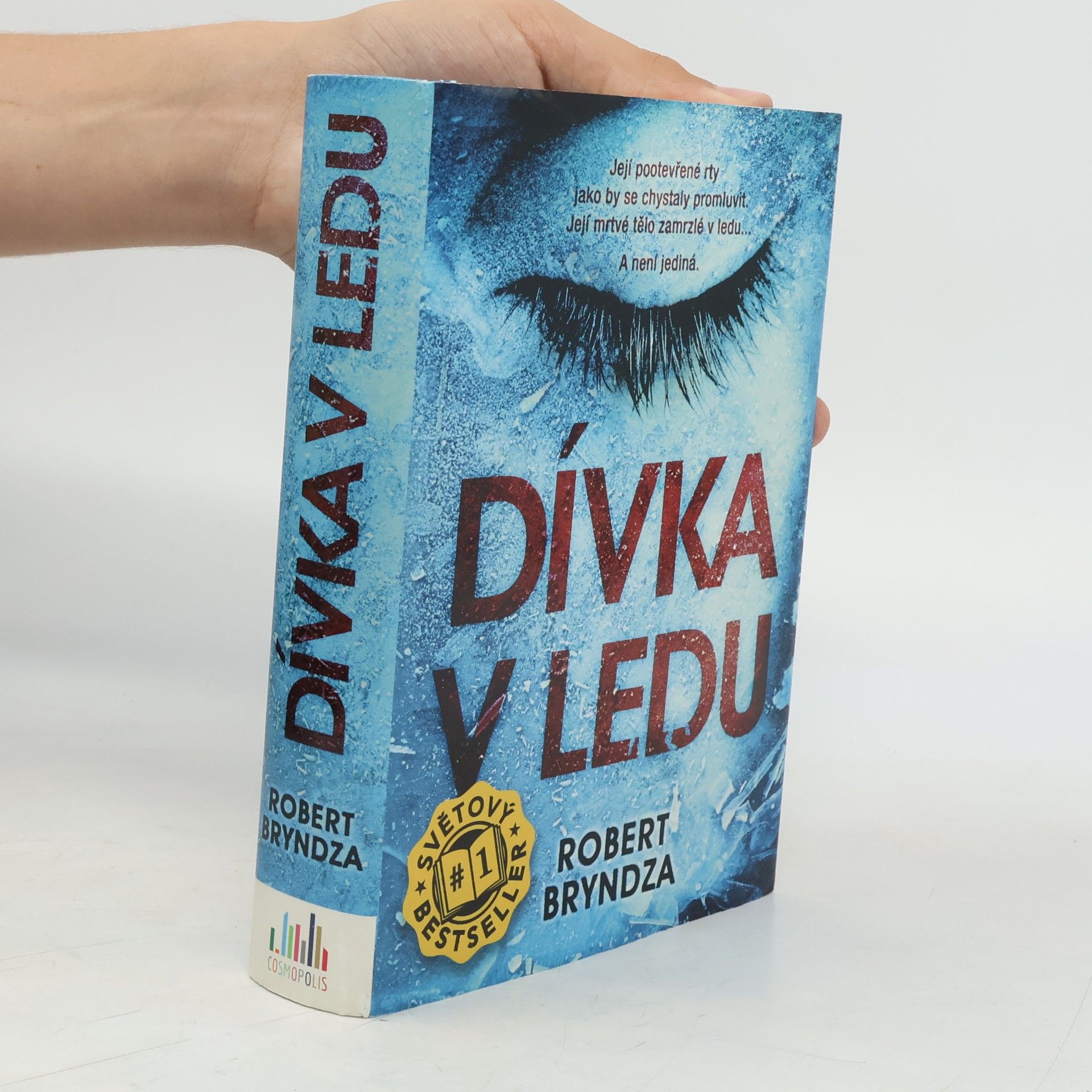 Robert Bryndza Dívka v ledu