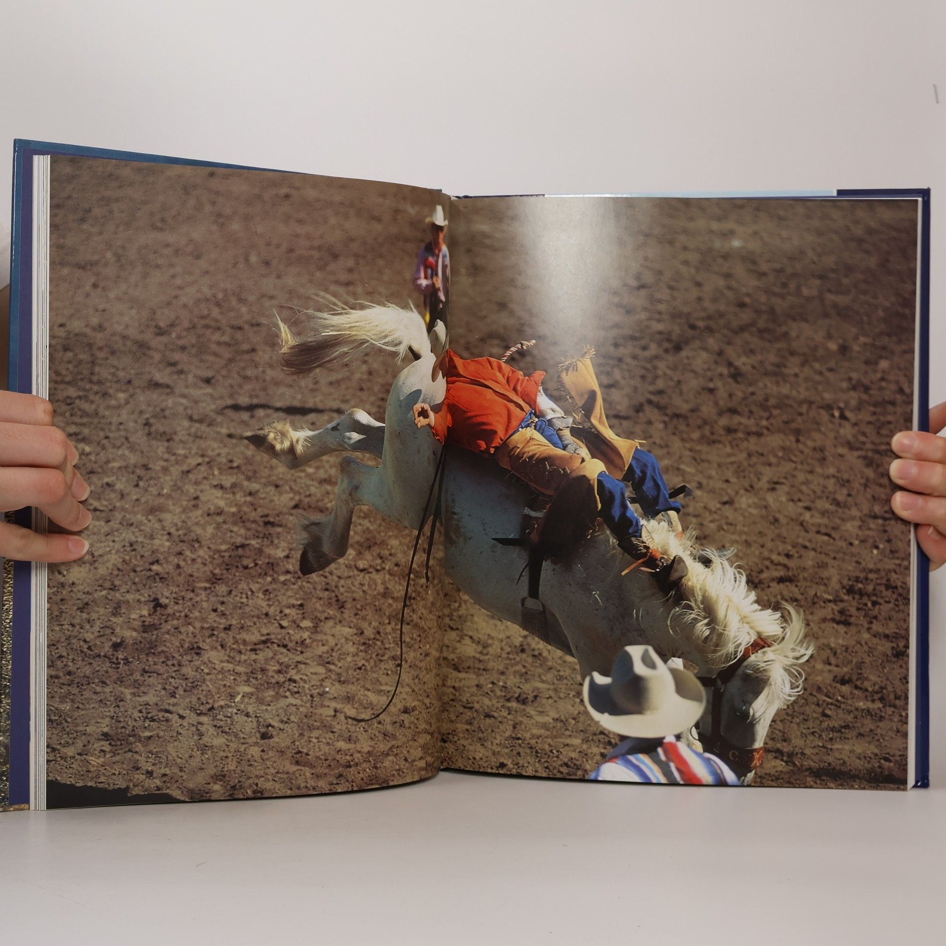 Monika Dossenbach Pferde - Cowboys - Westernreiten