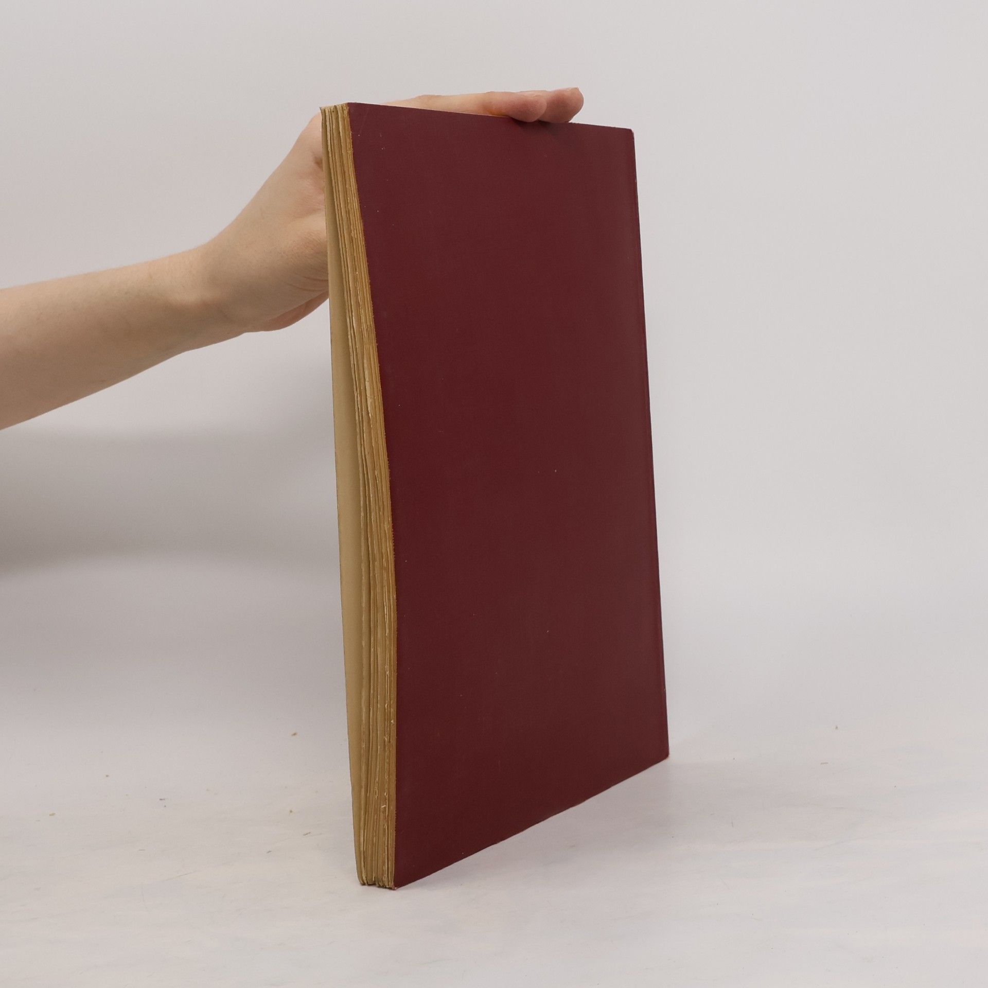 Velhagn Künstler Monographien. Tizian
