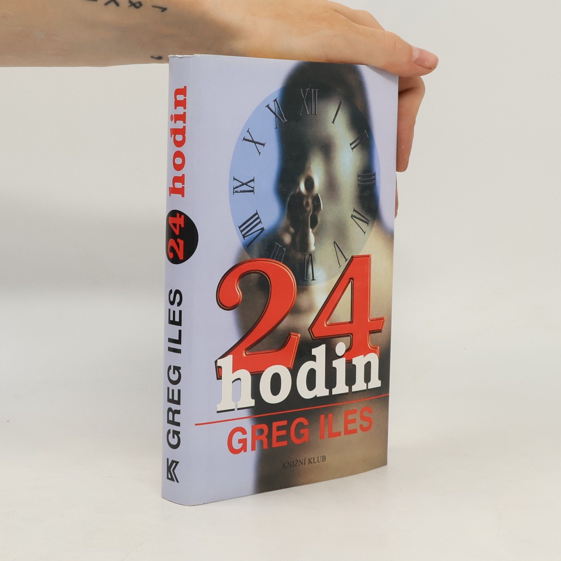 24 hodin