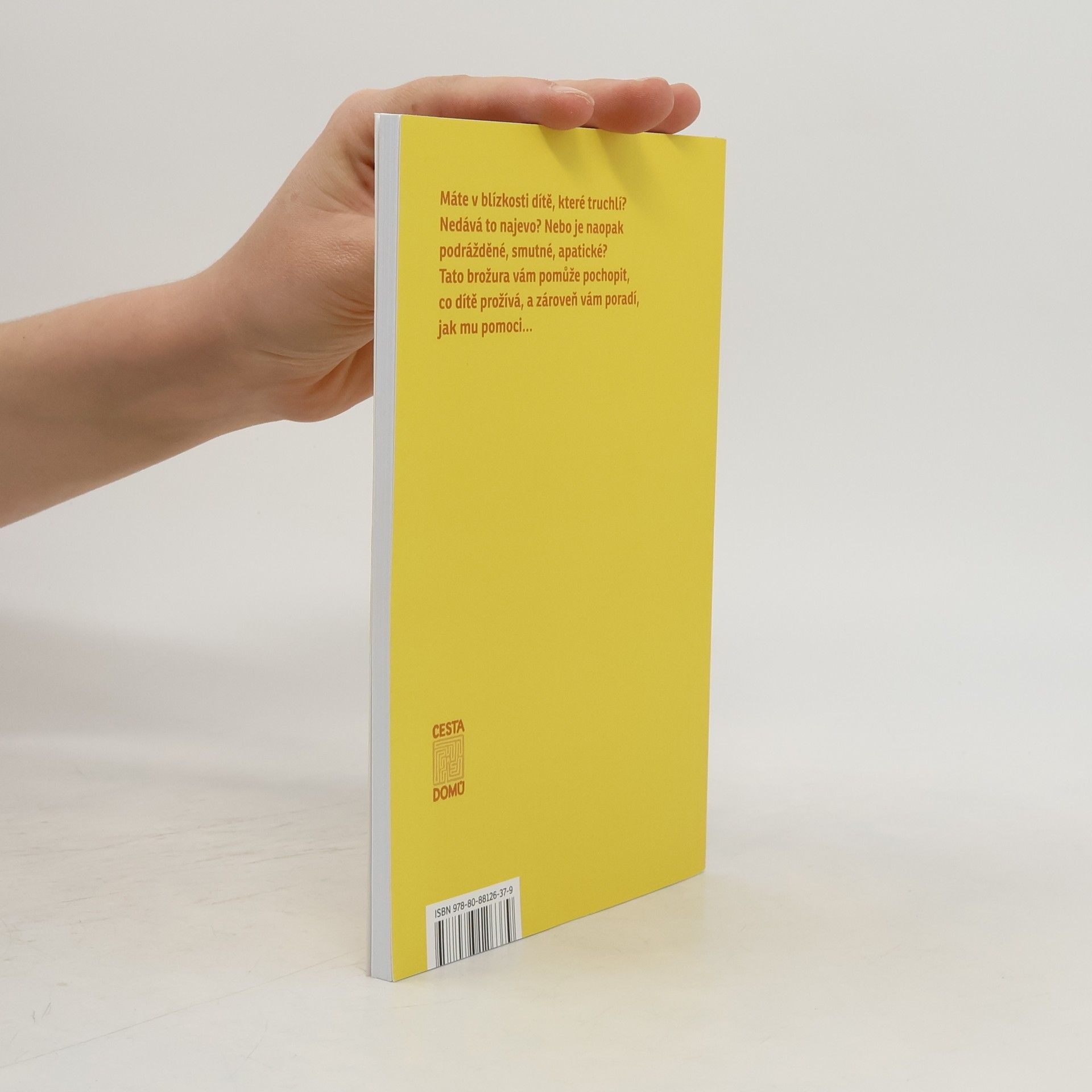 Autores varios 35 způsobů, jak pomoci truchlícímu dítěti