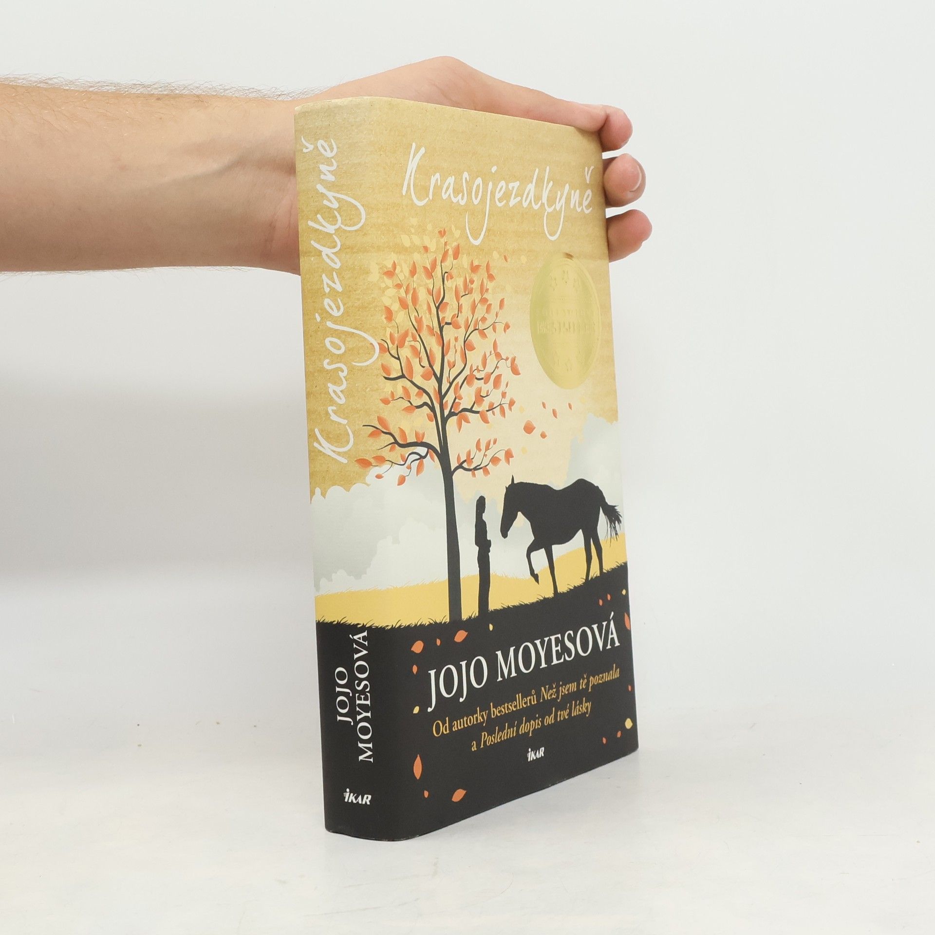 Jojo Moyes Krasojezdkyně