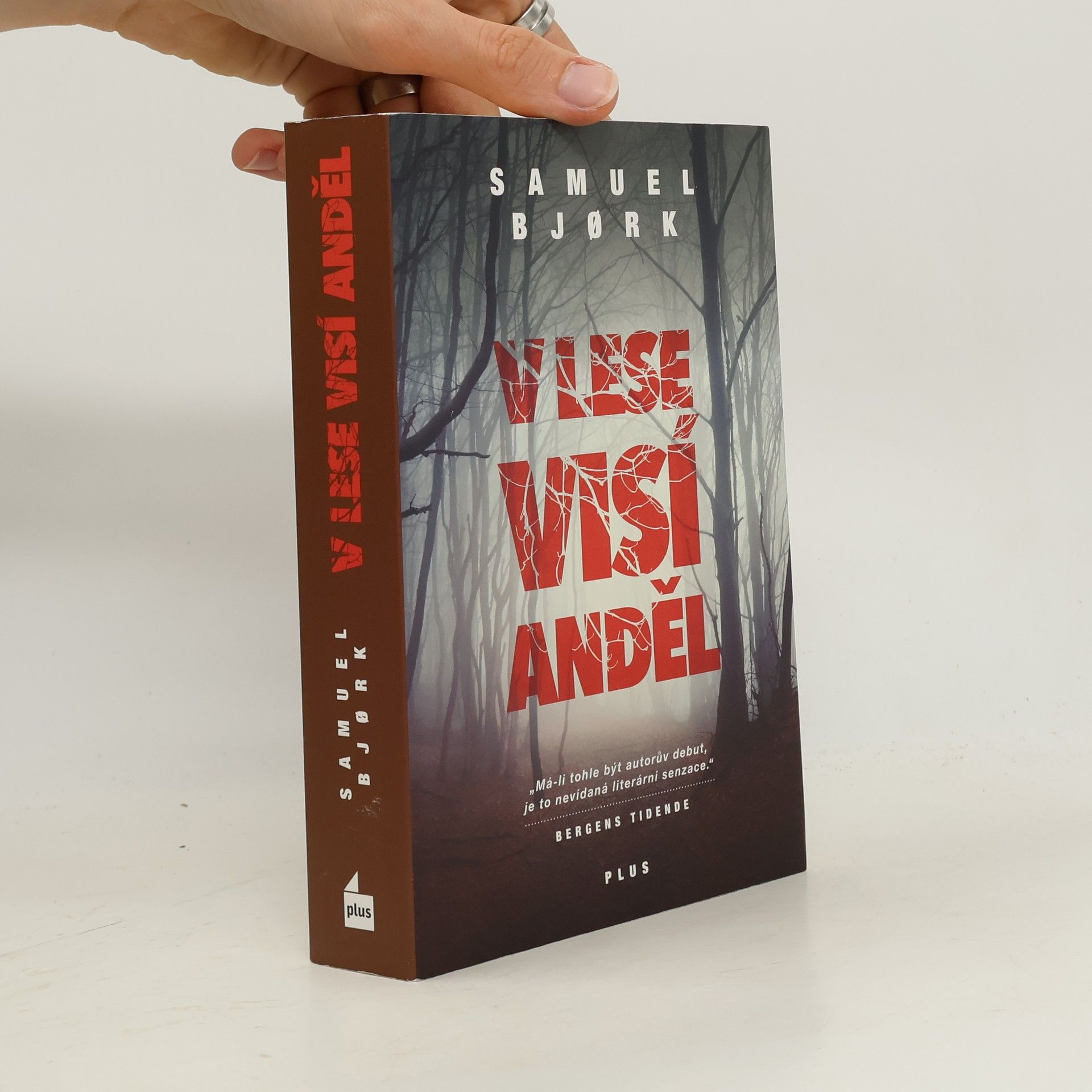 Samuel Bjork V lese visí anděl