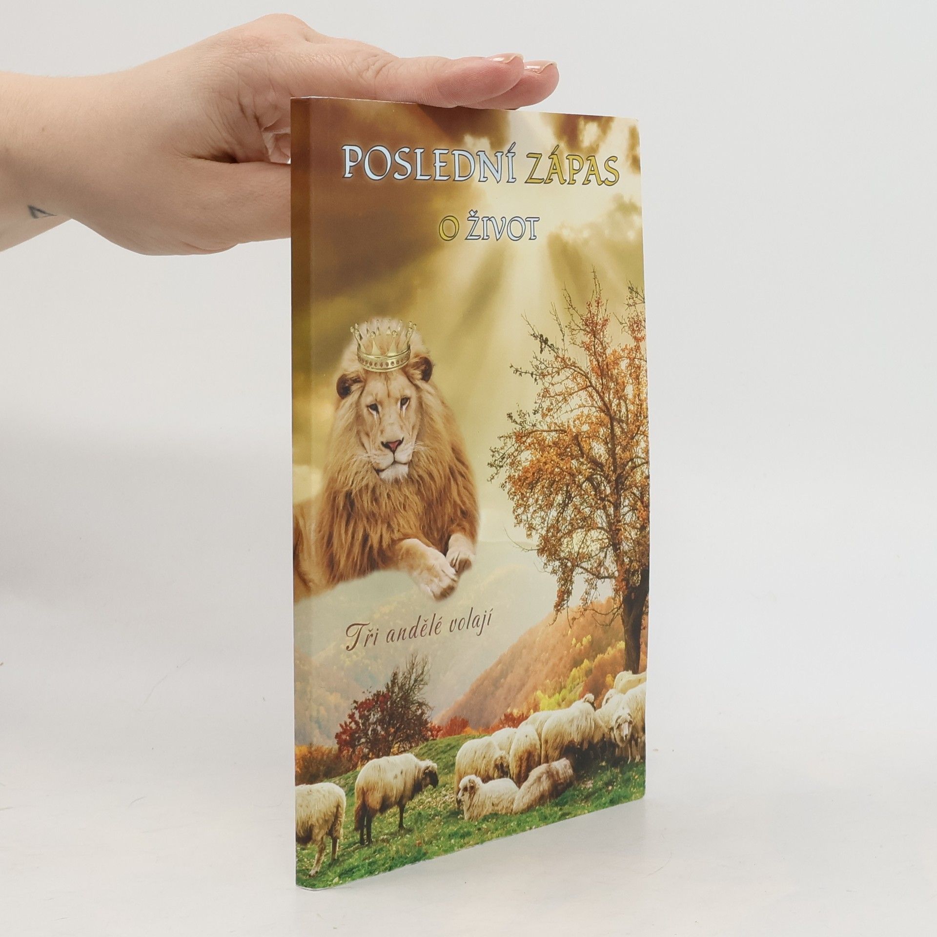 Sara Kollárová Poslední zápas o život Tři andělé volají