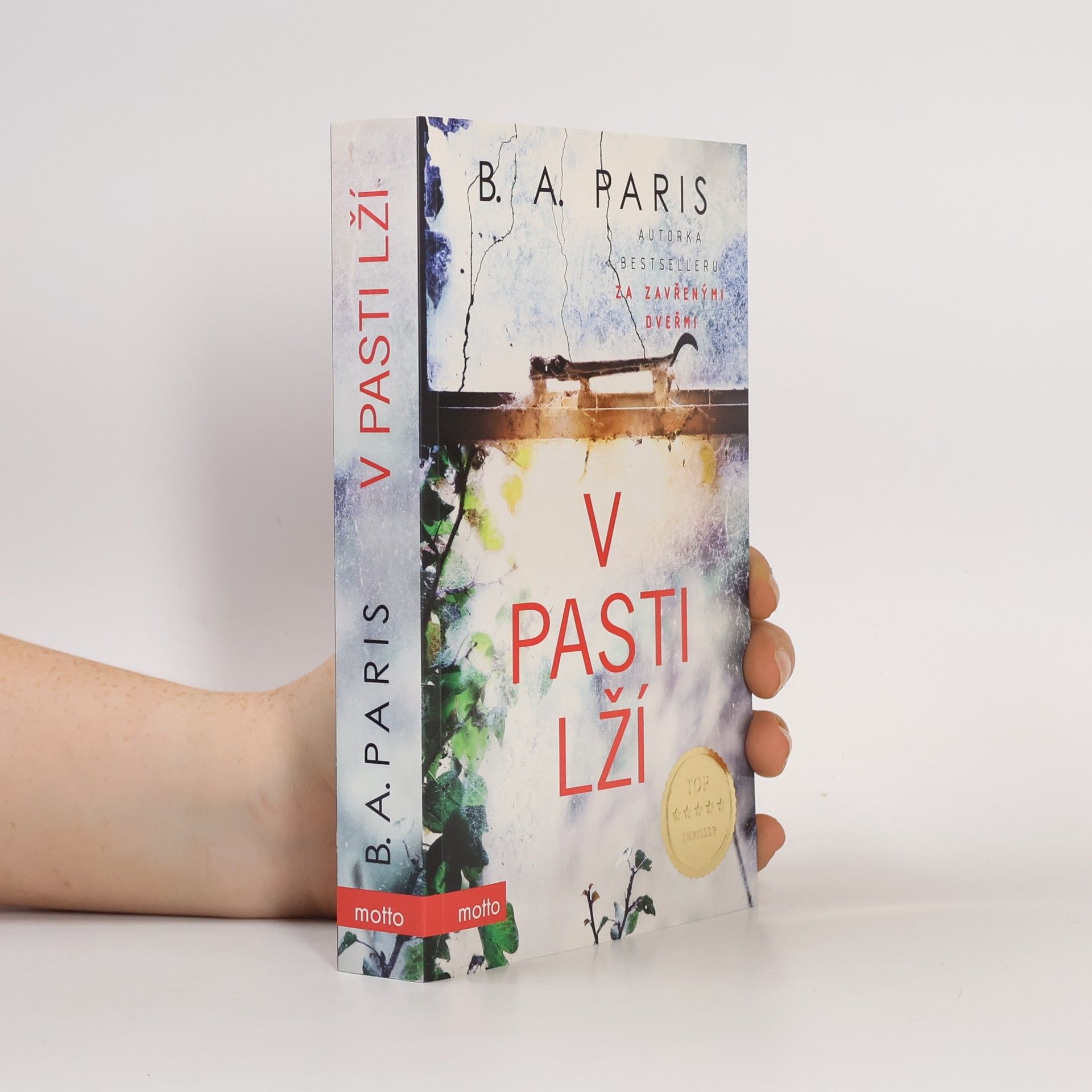 B. A. Paris V pasti lží