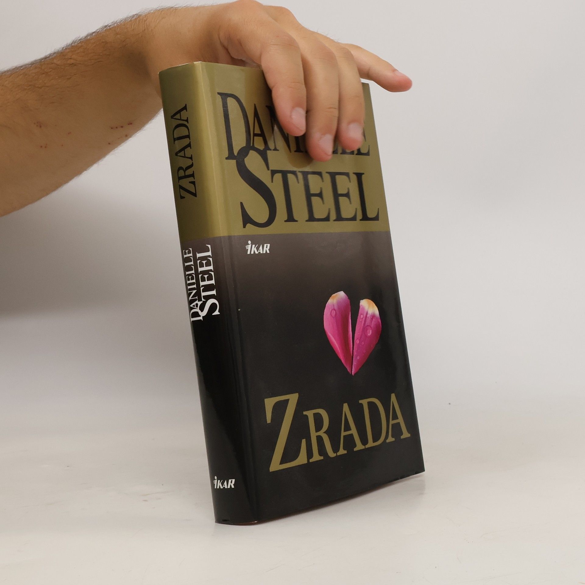 Danielle Steel Zrada