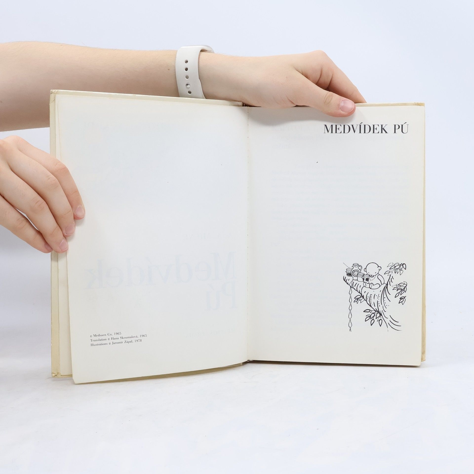A. A. Milne Medvídek Pú