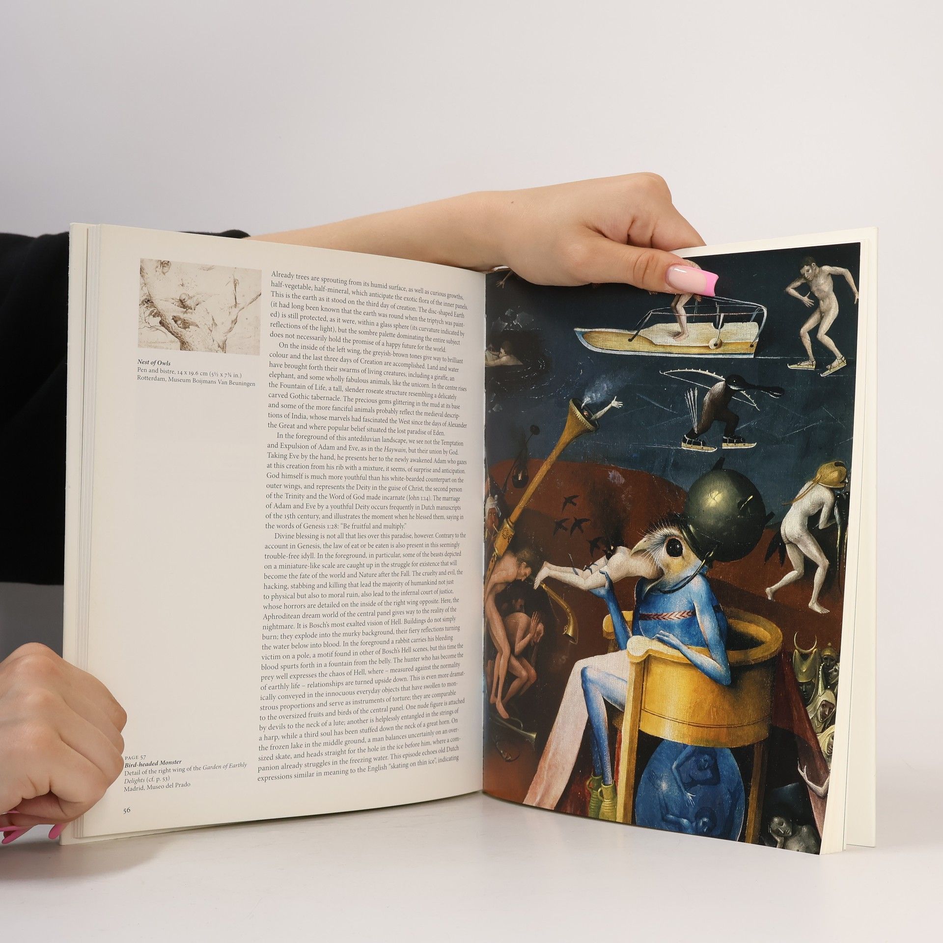 Walter Bosing Hieronymus Bosch