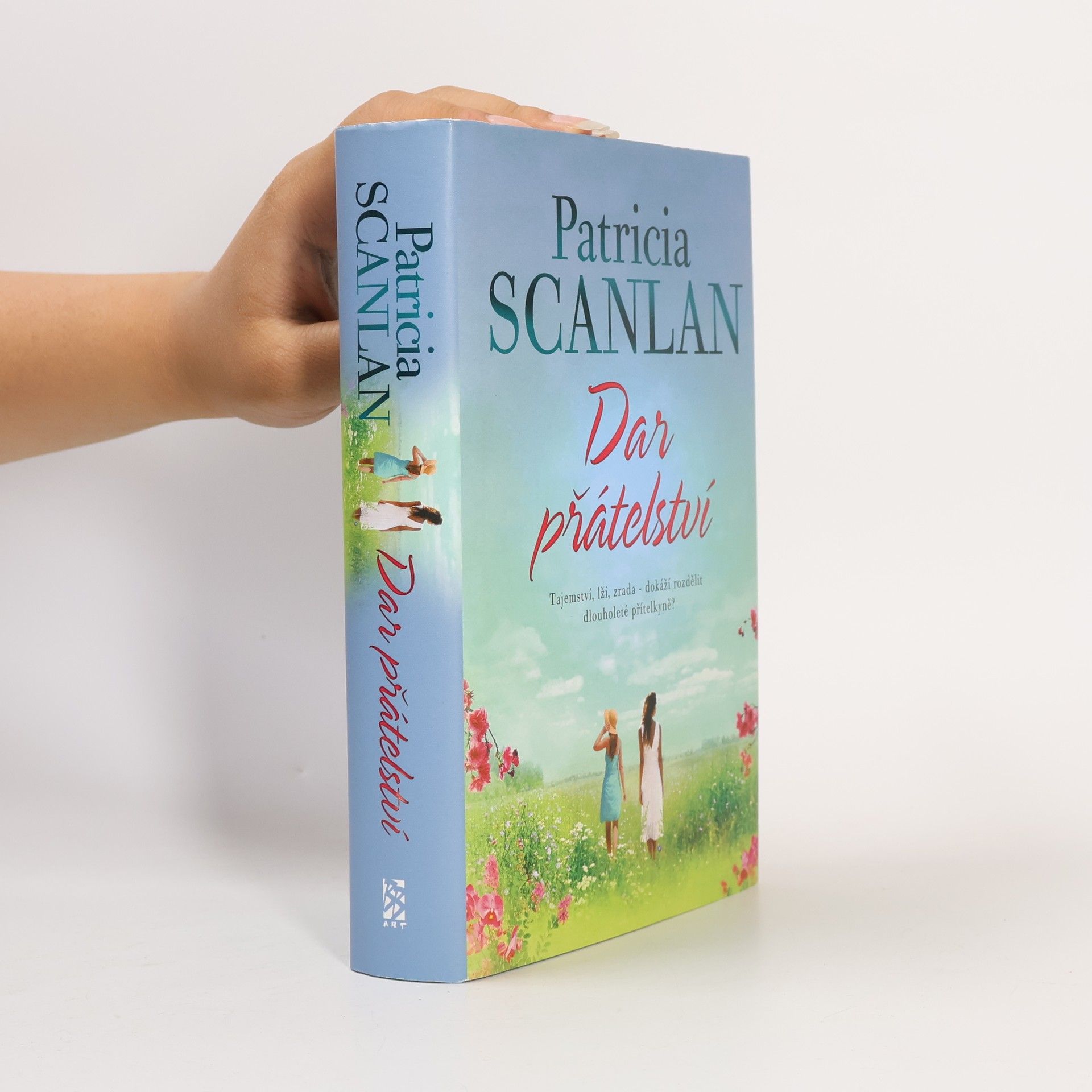 Patricia Scanlan Dar přátelství