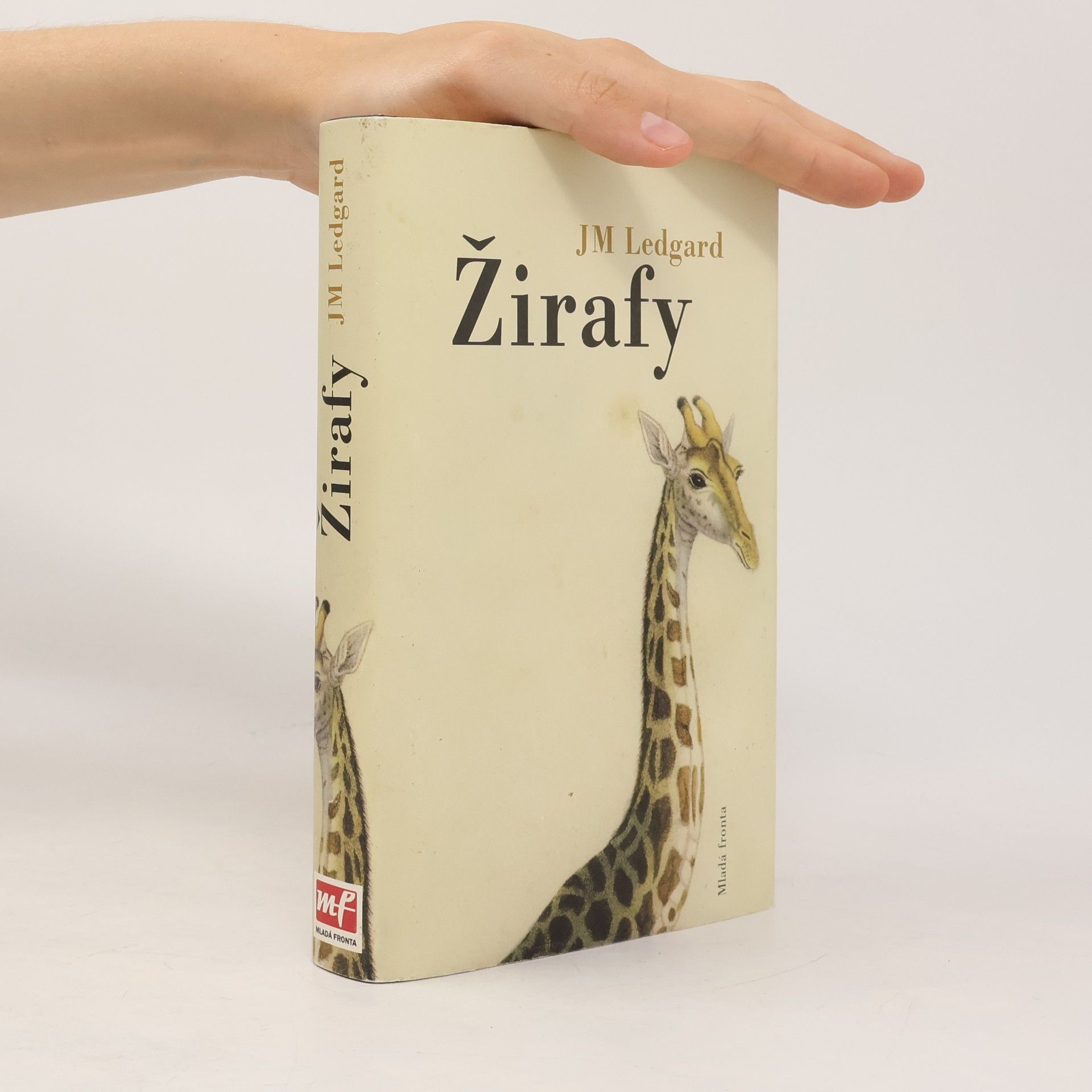J.M. Ledgard Žirafy