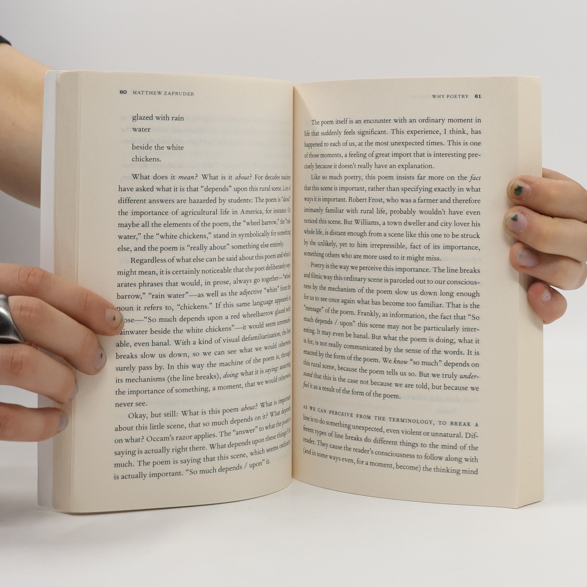 Matthew Zapruder Why Poetry