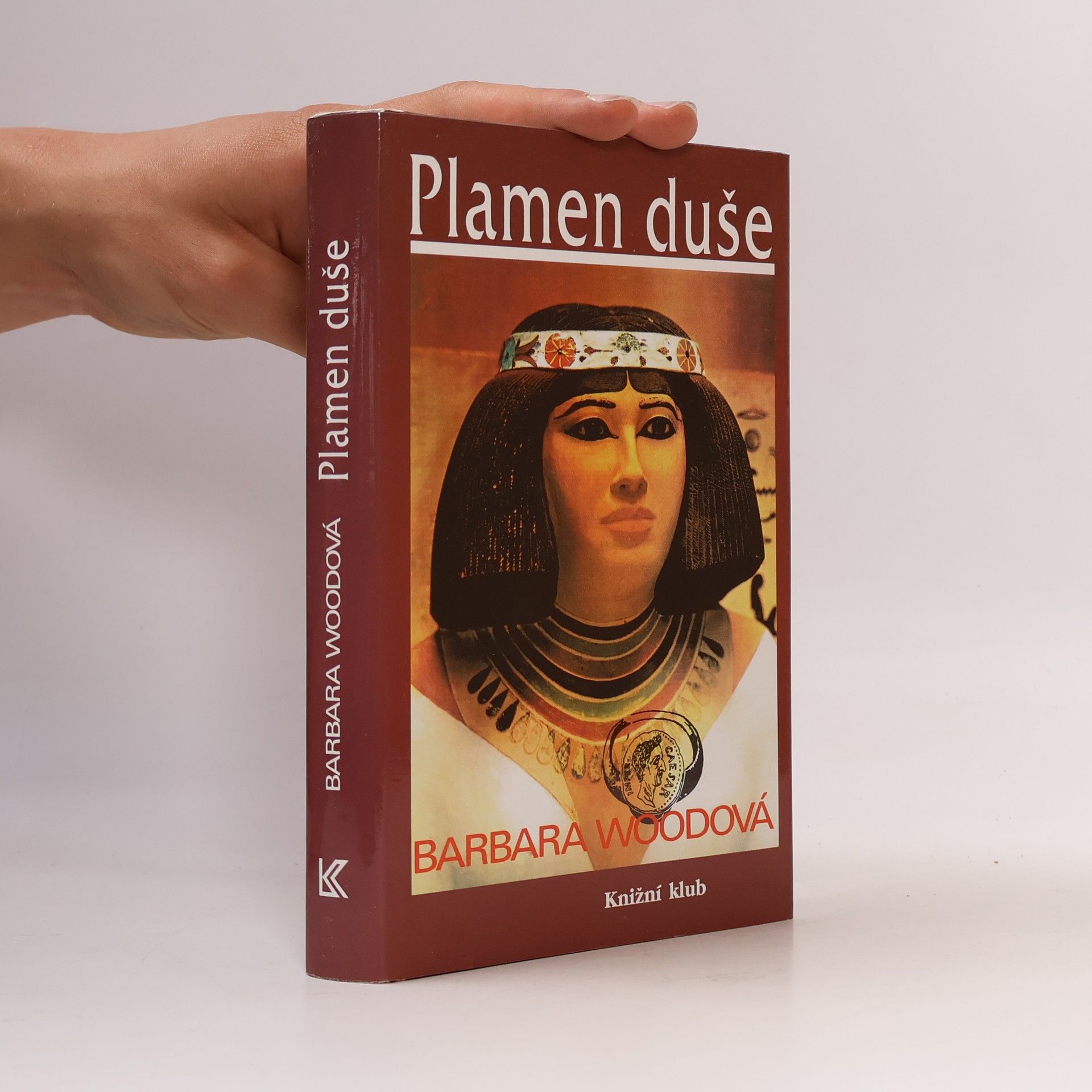 Barbara Wood Plamen duše