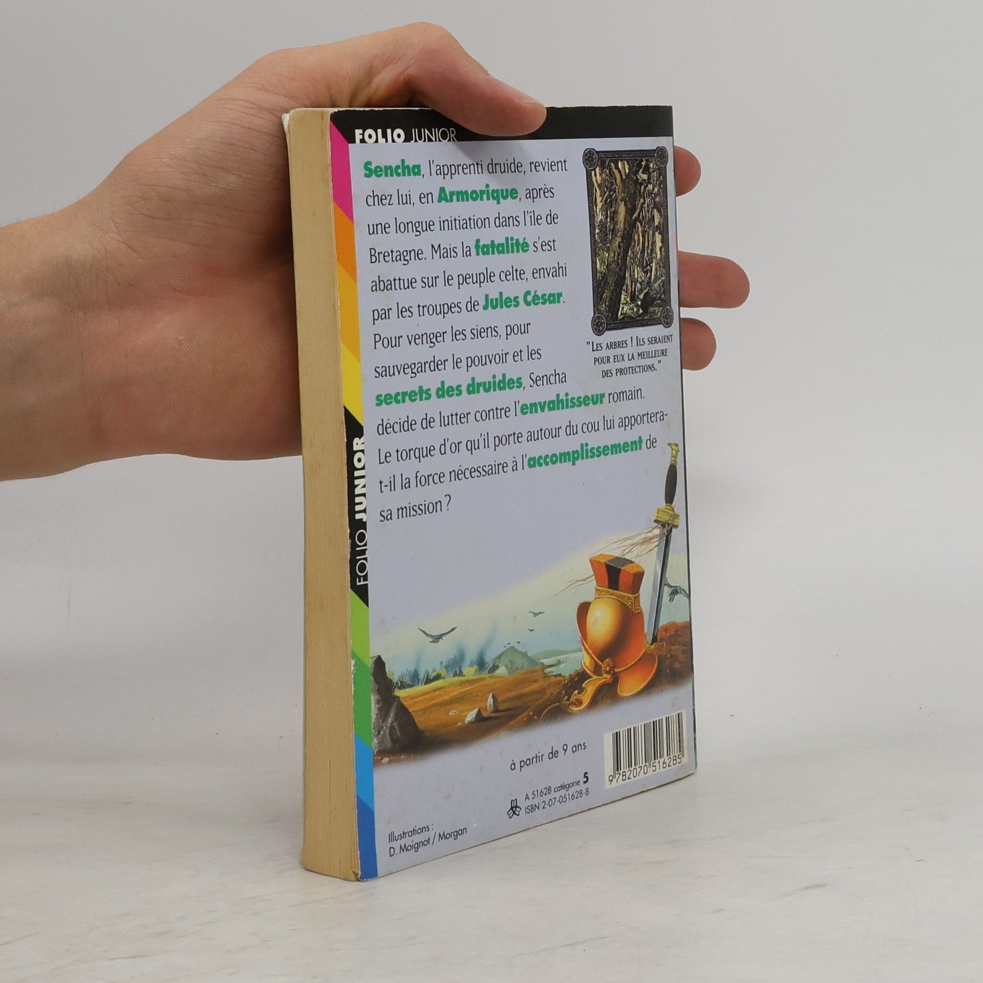 Evelyne Brisou-Pellen Folio Junior - 718: Le Défi des druides