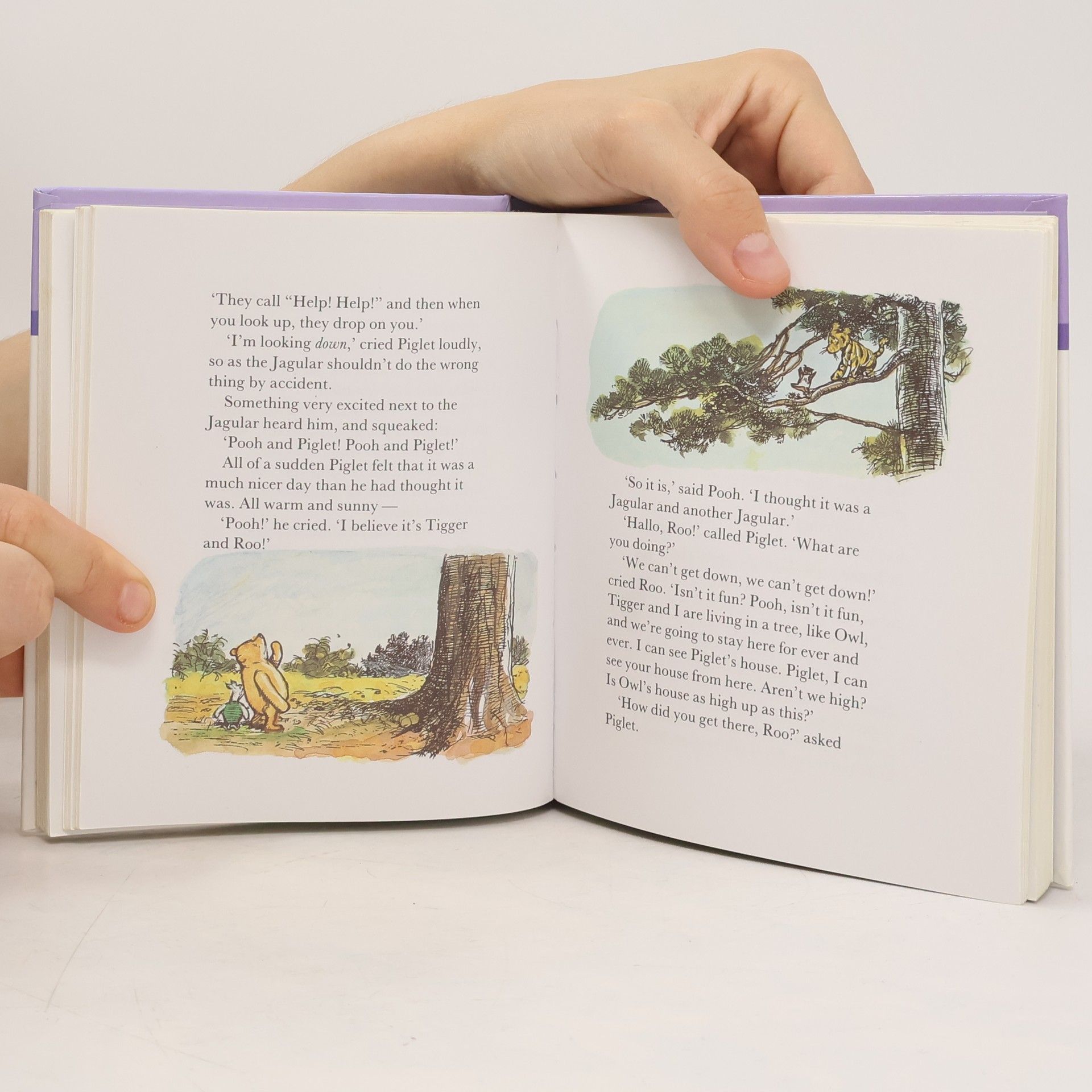 Alan Alexander Milne Favourite Winnie-the-Pooh Stories