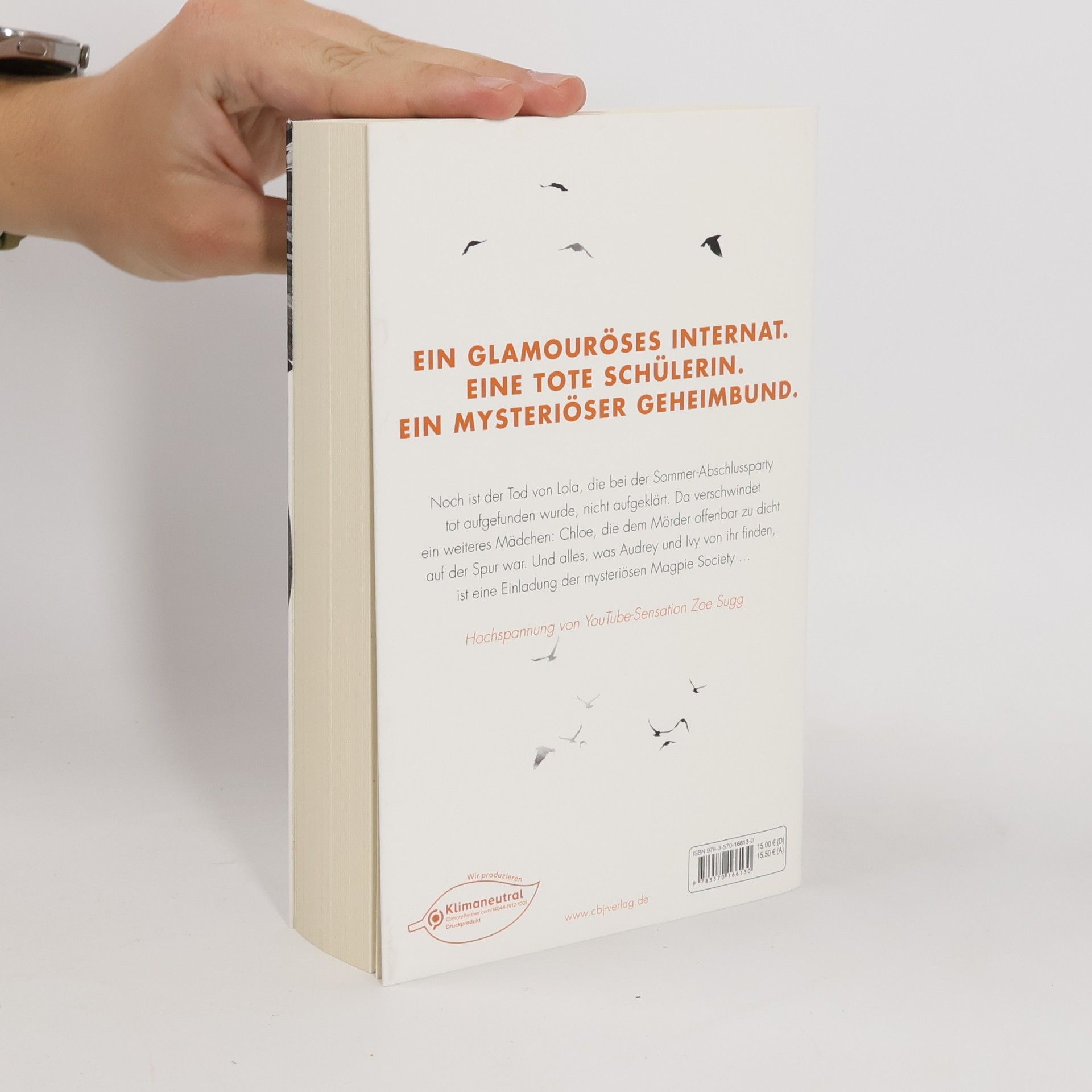 Amy McCulloch The Magpie Society - Aller bösen Dinge sind drei