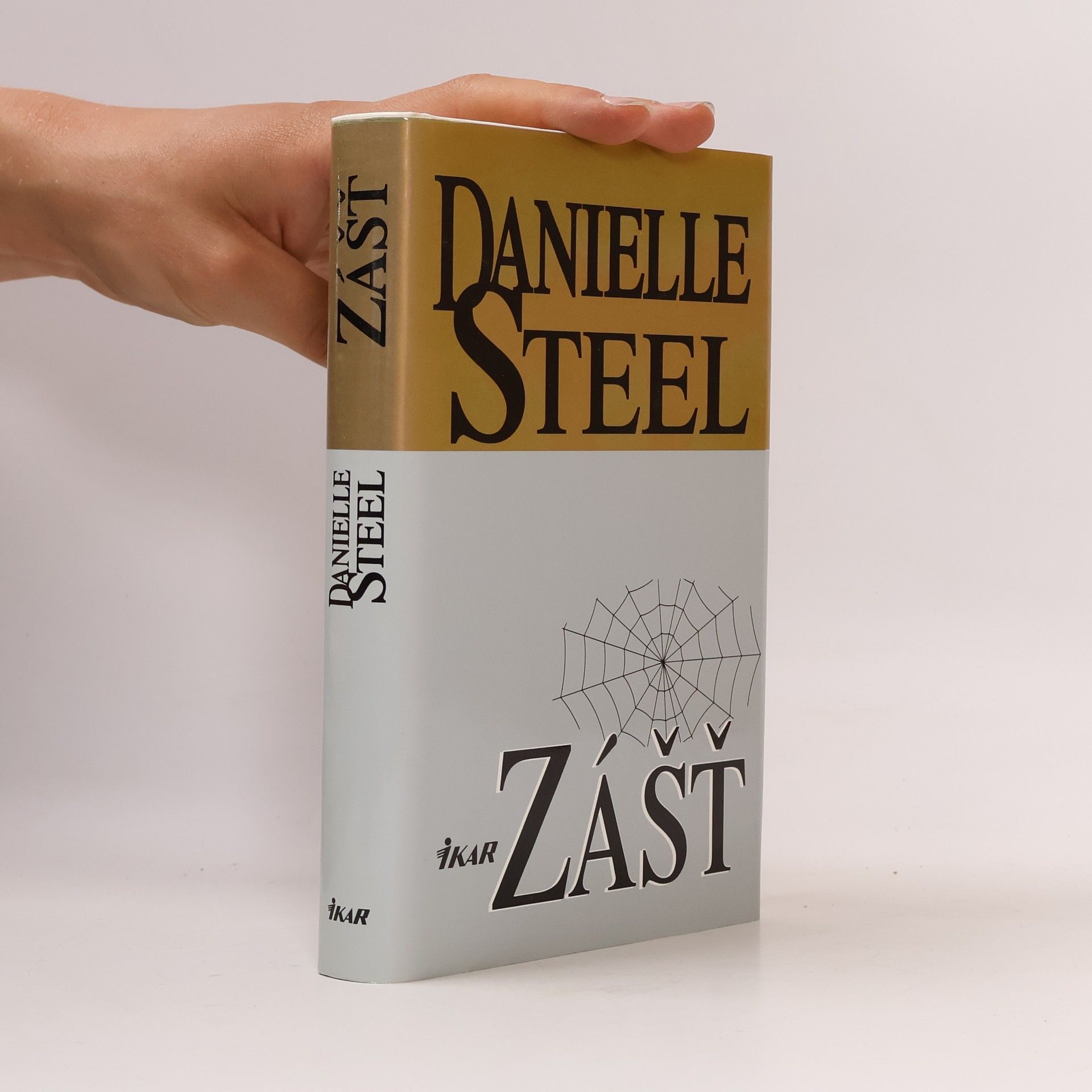 Danielle Steel Zášť