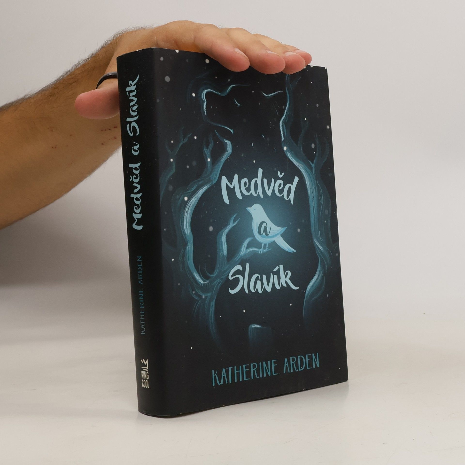 Katherine Arden Medvěd a Slavík
