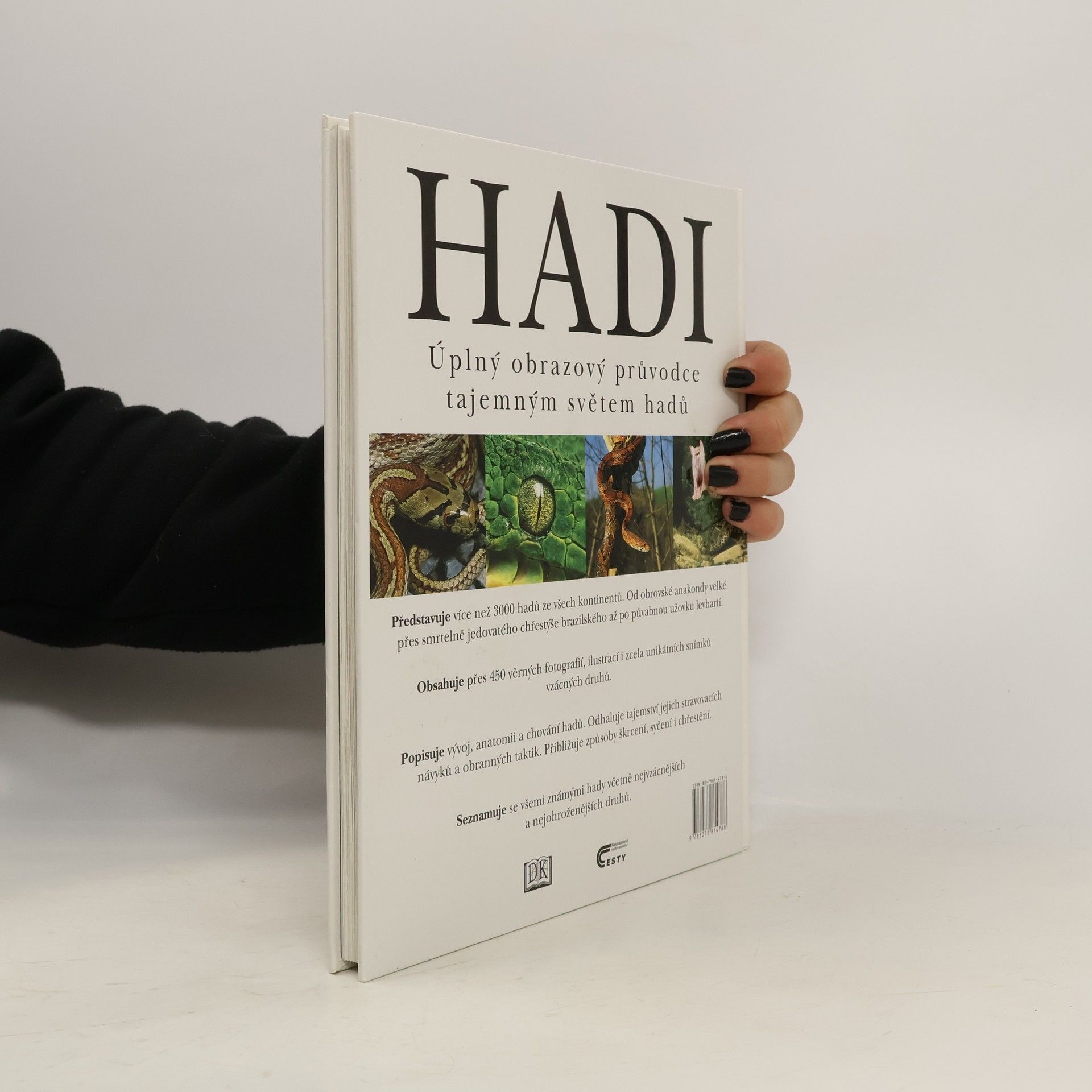 Chris Mattison Hadi