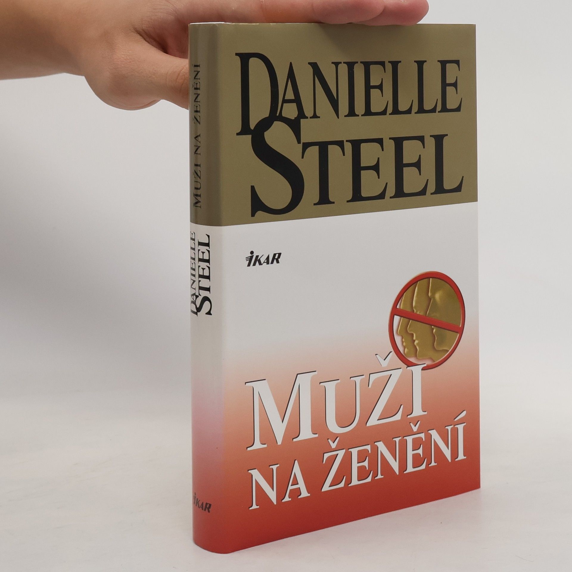 Danielle Steel Muži na ženění