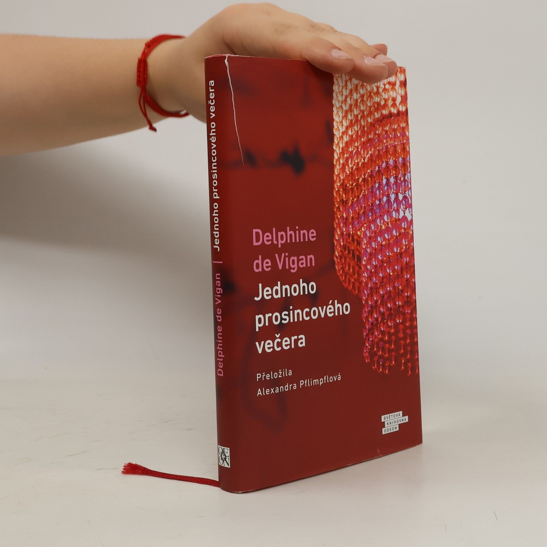 Delphine de Vigan Jednoho prosincového večera