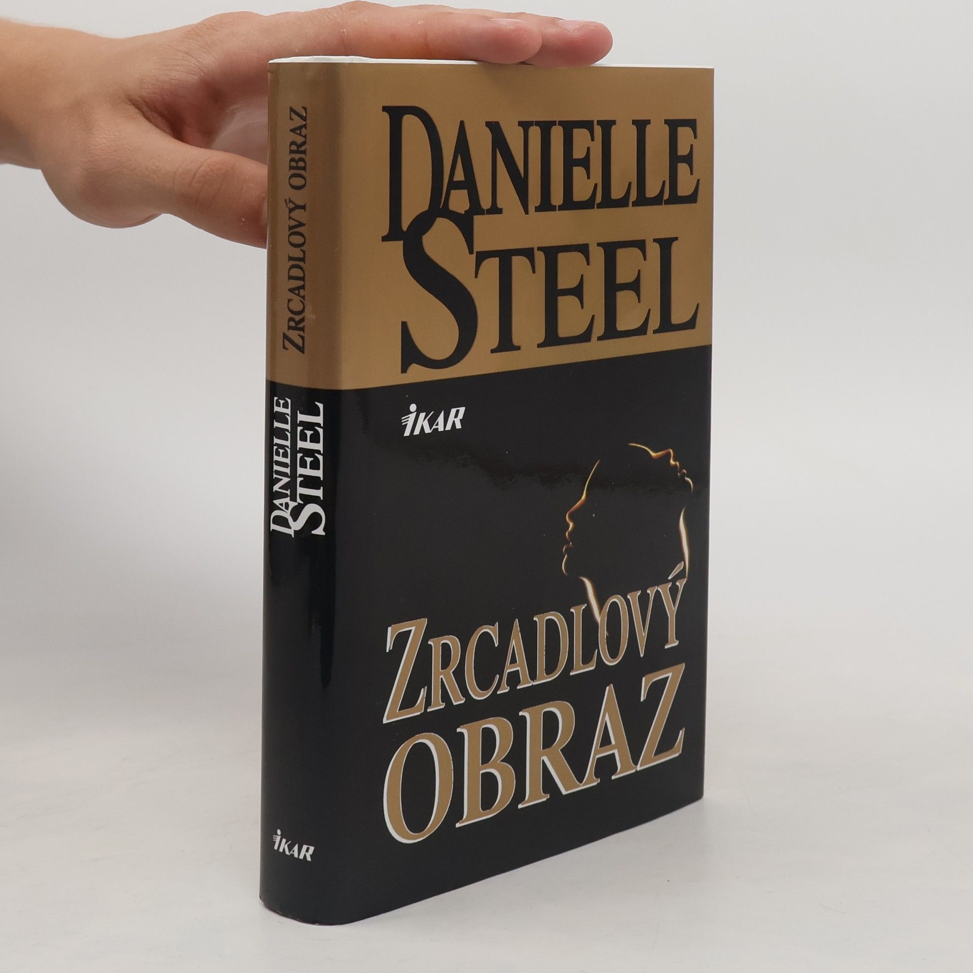 Danielle Steel Zrcadlový obraz