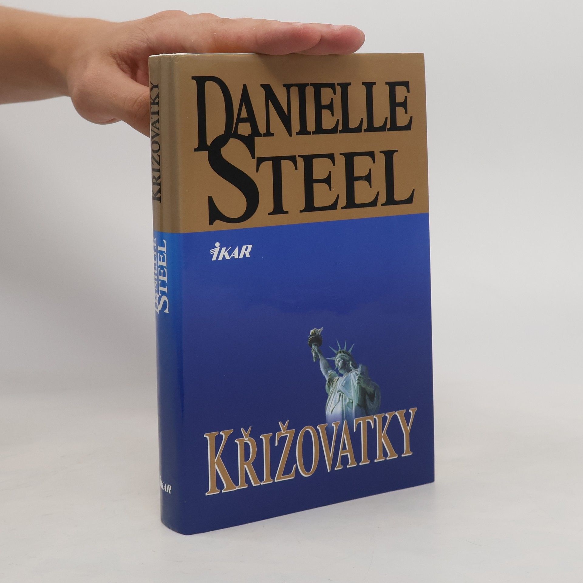 Danielle Steel Křižovatky