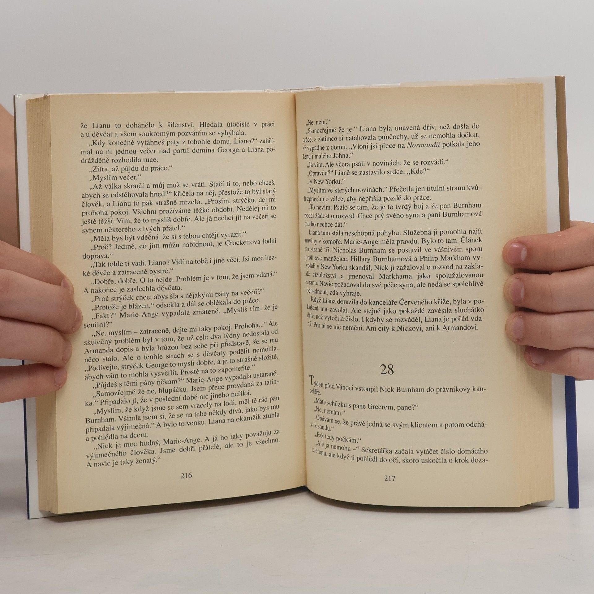 Danielle Steel Křižovatky