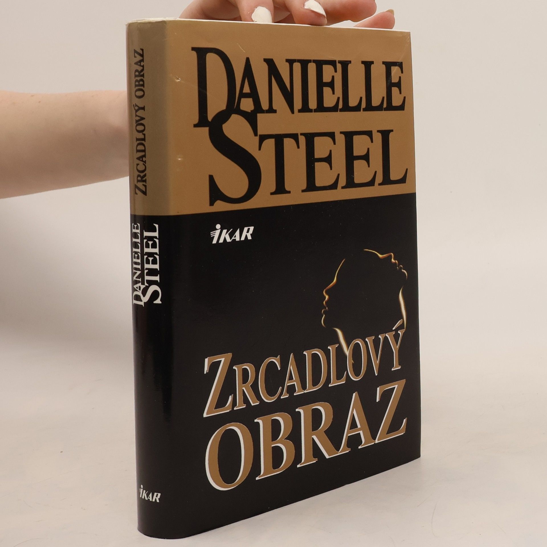 Danielle Steel Zrcadlový obraz