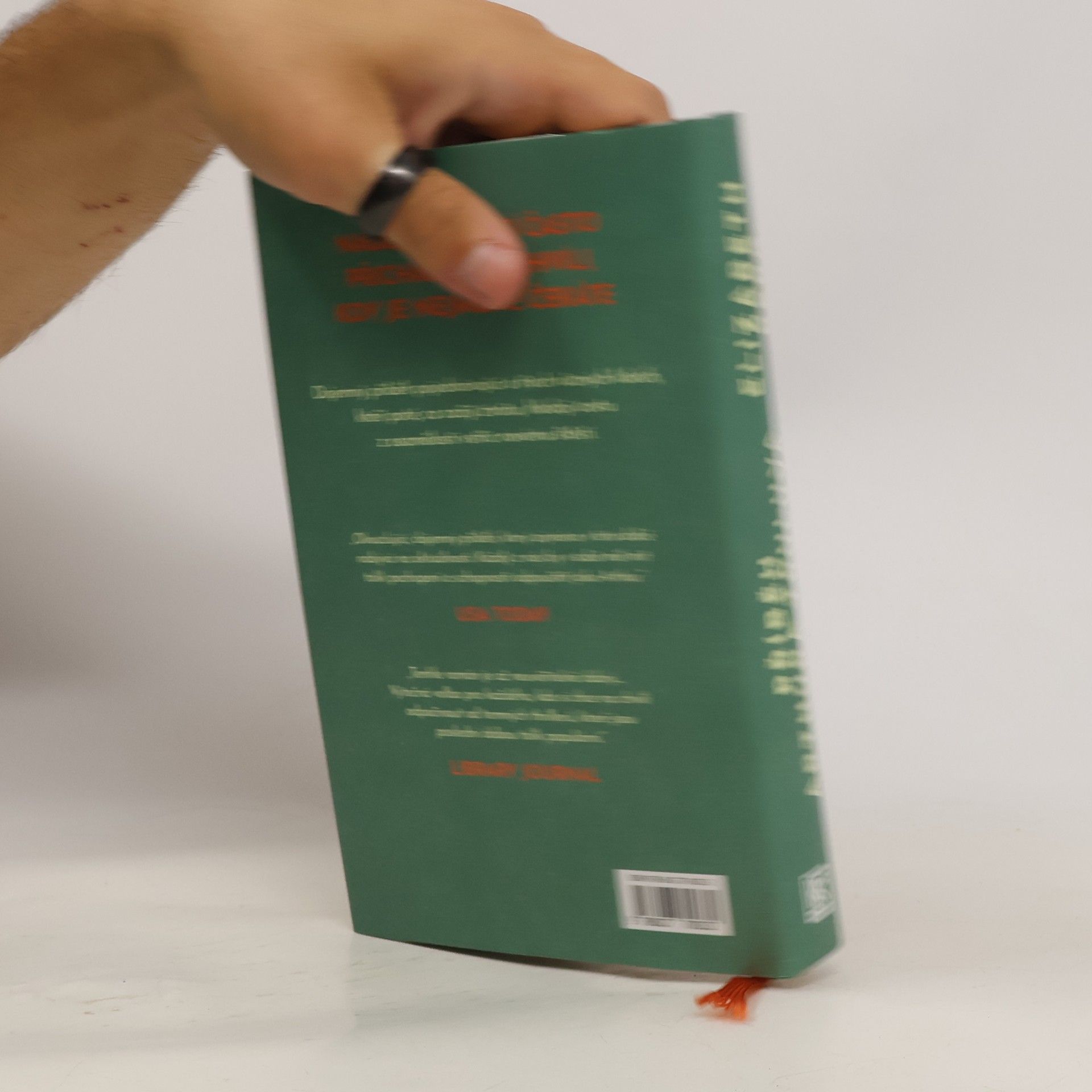 Elizabeth Berg Příběh Arthura Truluva