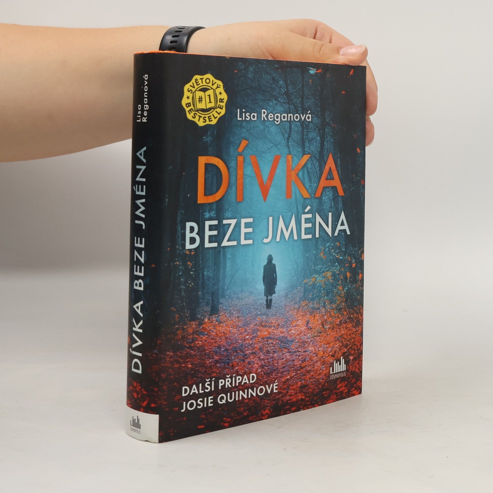 Lisa Regan Dívka beze jména: Další případ Josie Quinnové