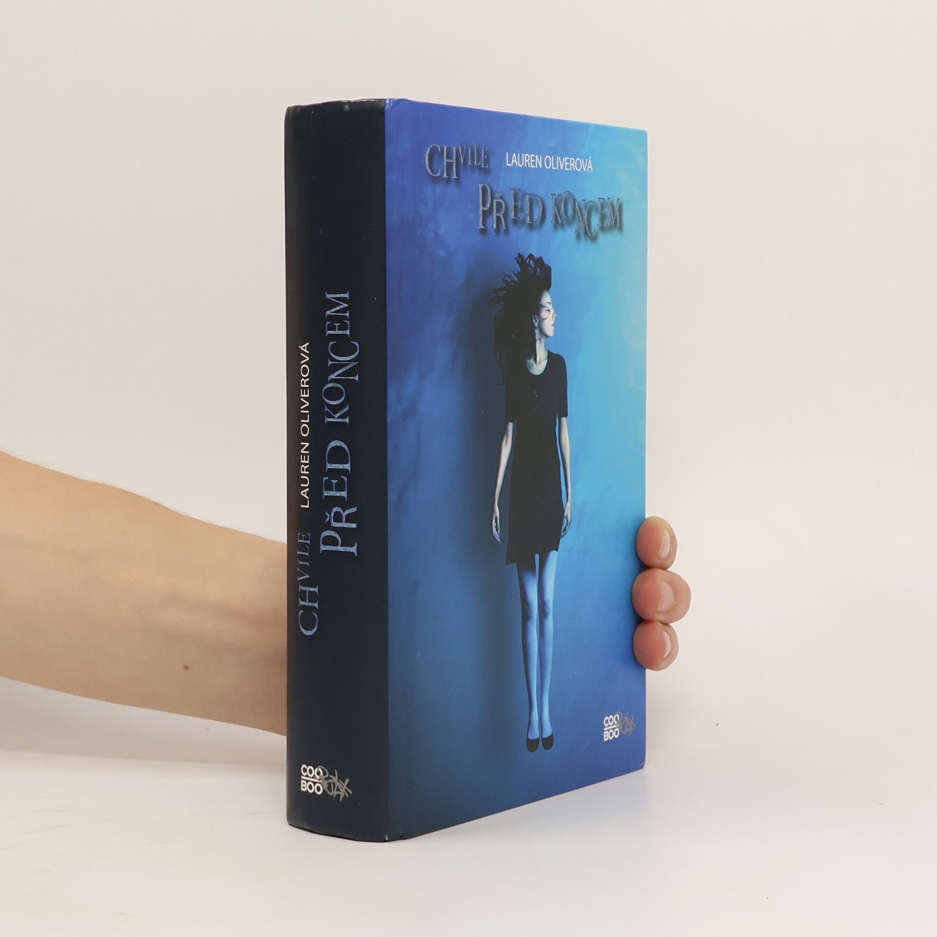 Lauren Oliver Chvíle před koncem