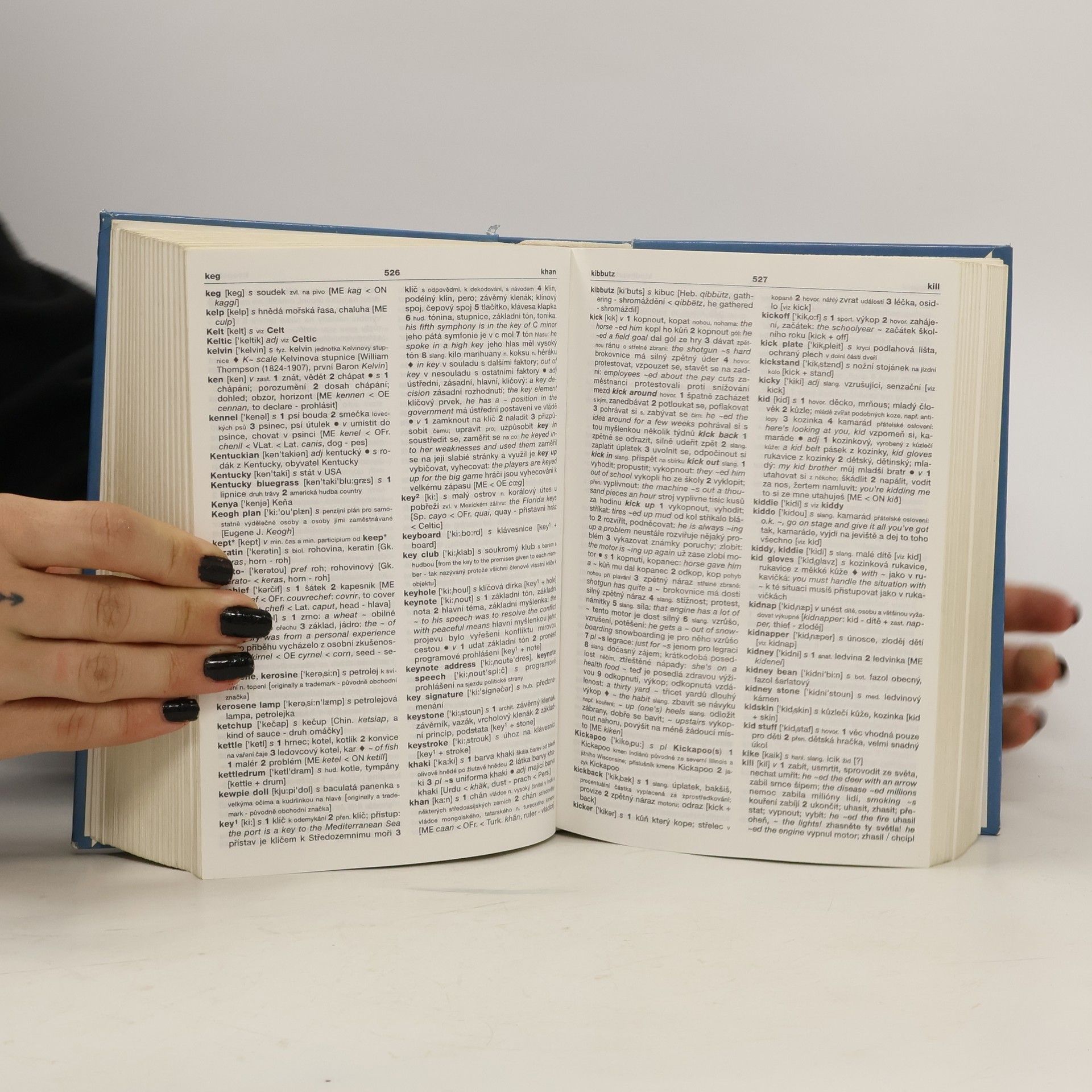 Sinclair Nicholas Velký americko-český slovník = Comprehensive American-Czech dictionary. [A-Z]