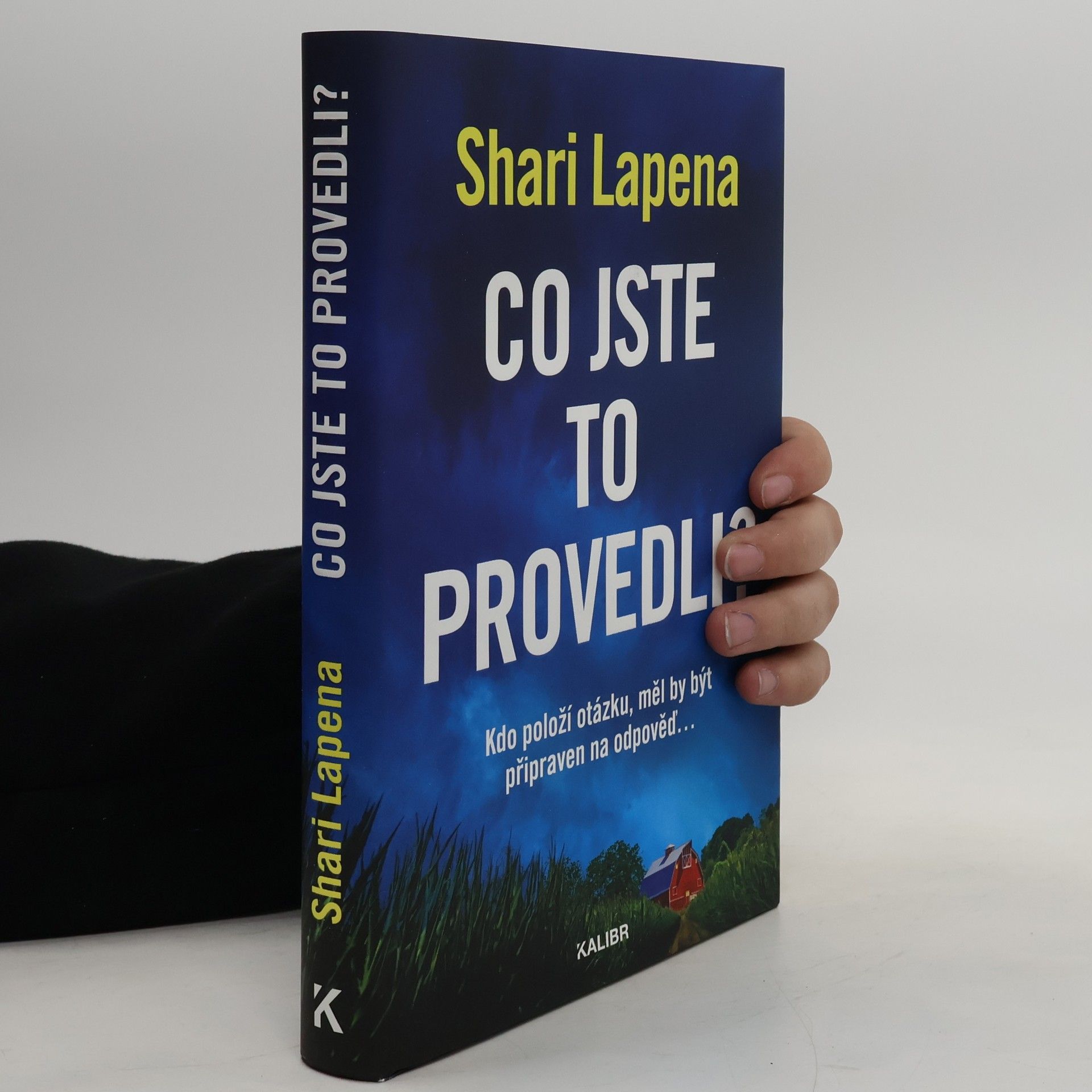 Shari Lapena Co jste to provedli?